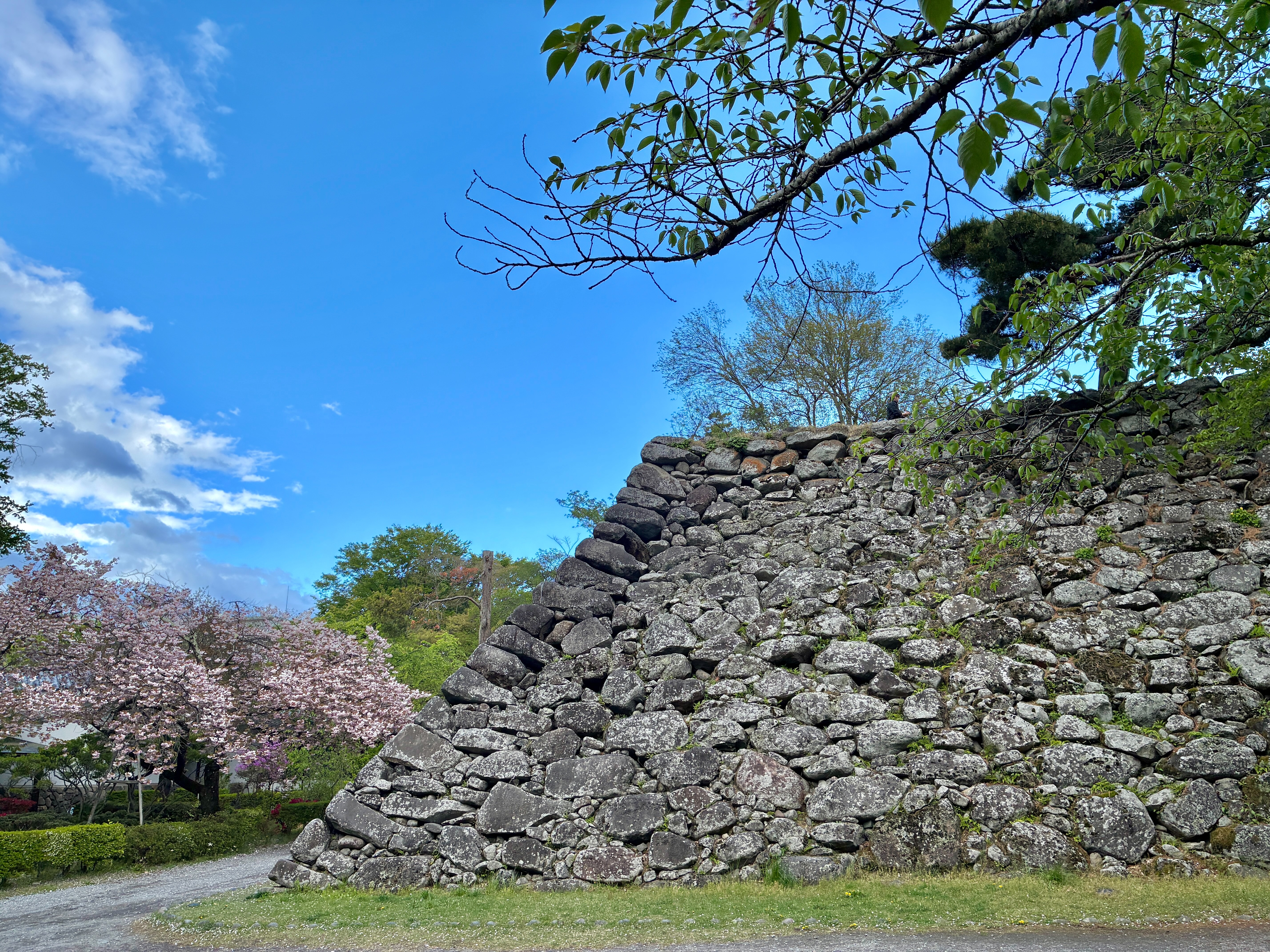 小諸城址 懐古園 馬場から天守台