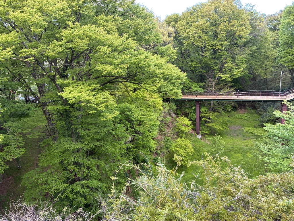 小諸城址 懐古園 地獄谷