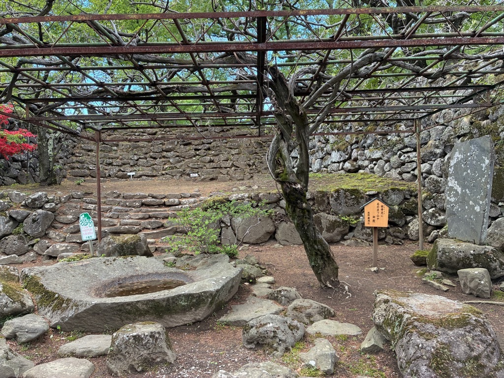 小諸城址 懐古園 雁木のような石段