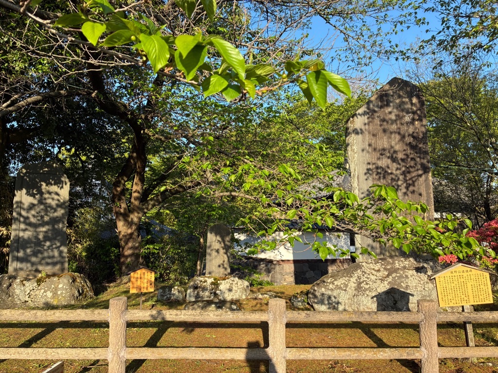 小諸城跡 石碑群