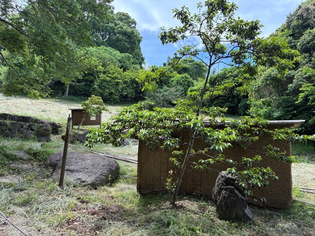 石垣山城 謎の土塀見本