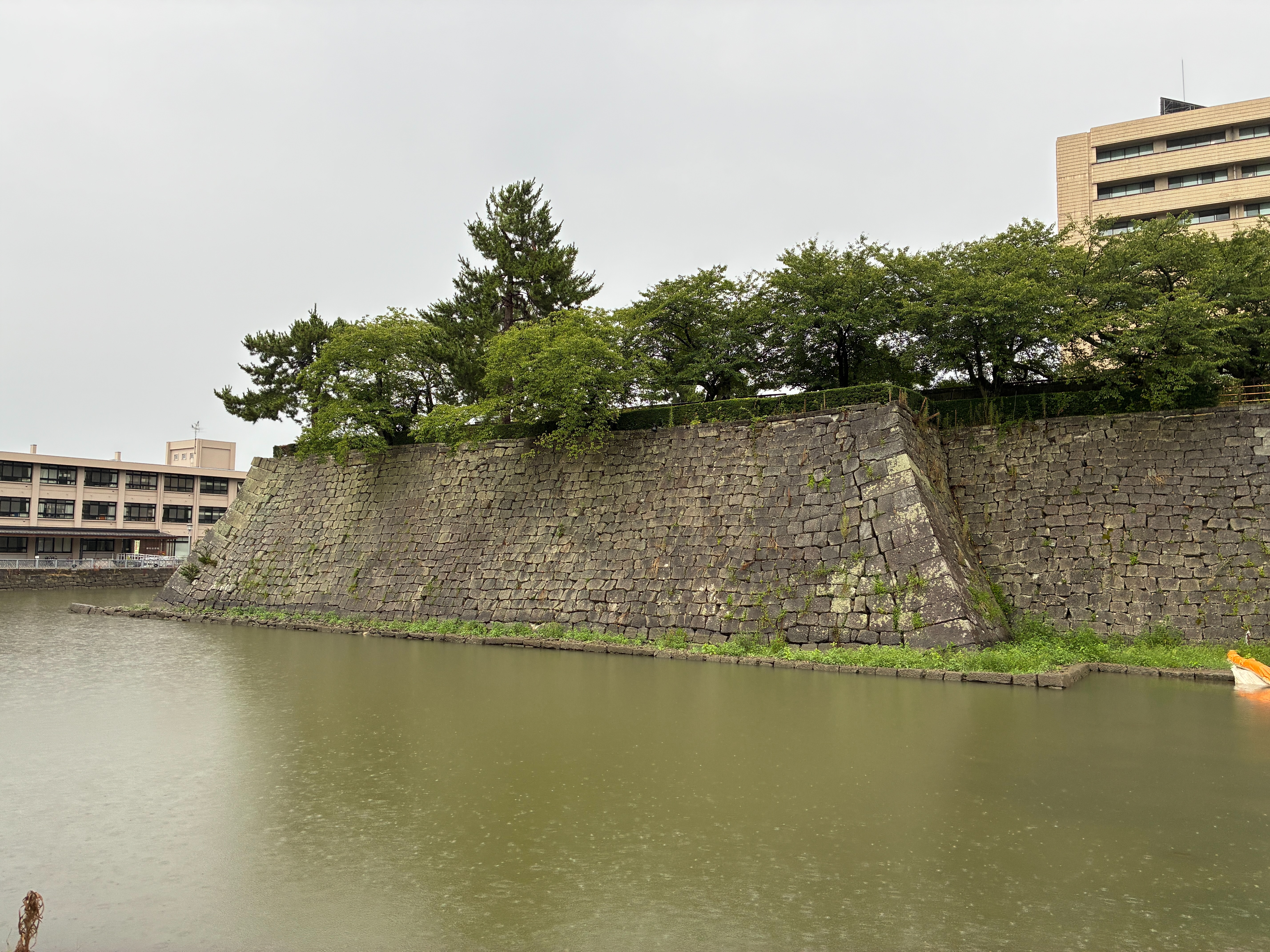 福井城跡 本丸天守台下の石垣