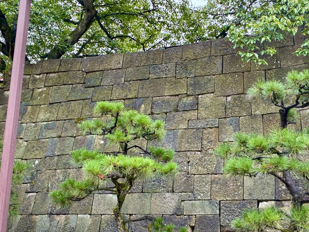 福井城本丸跡 テトリス積み石垣