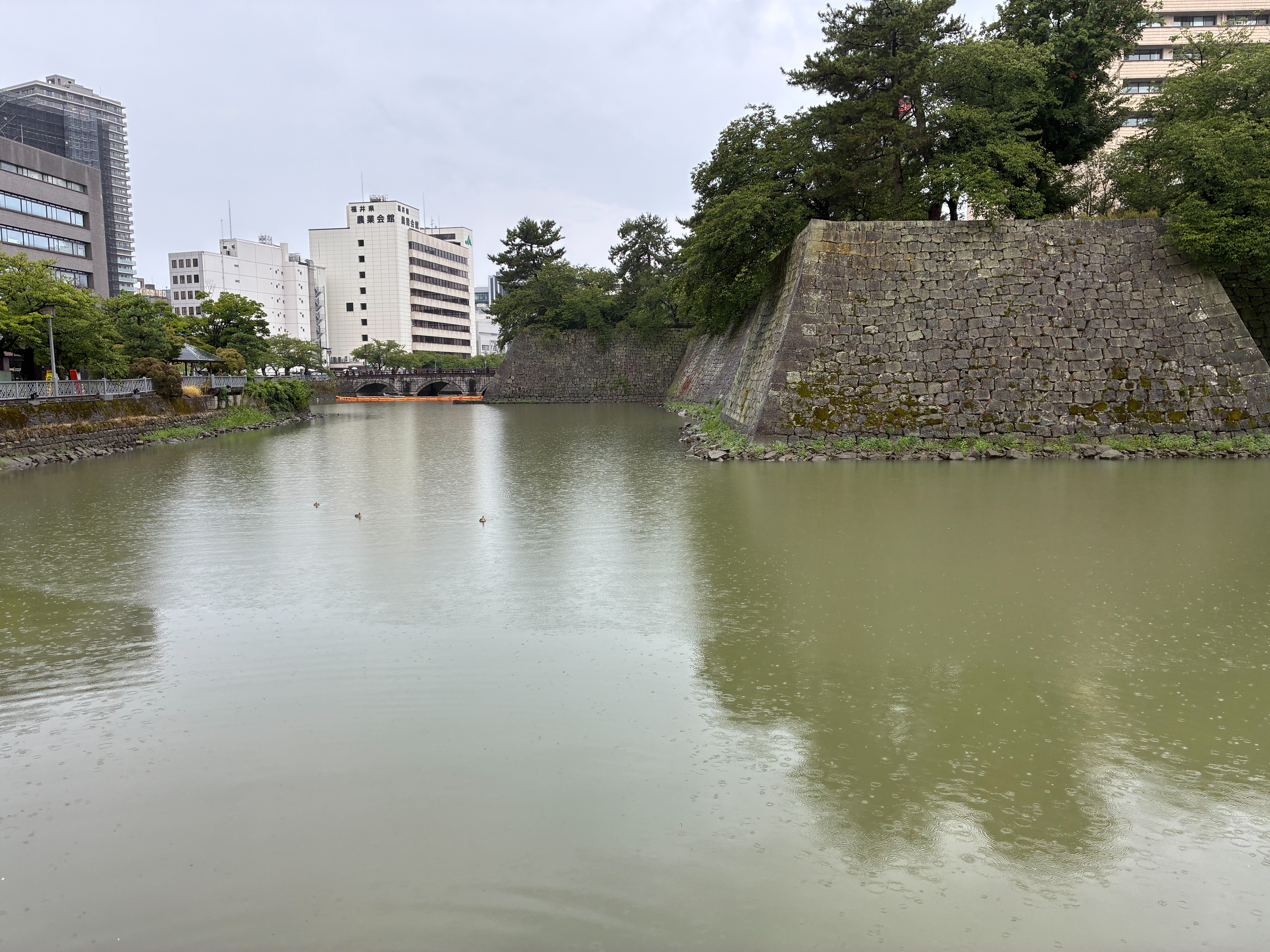 福井城巽櫓跡と御本城橋
