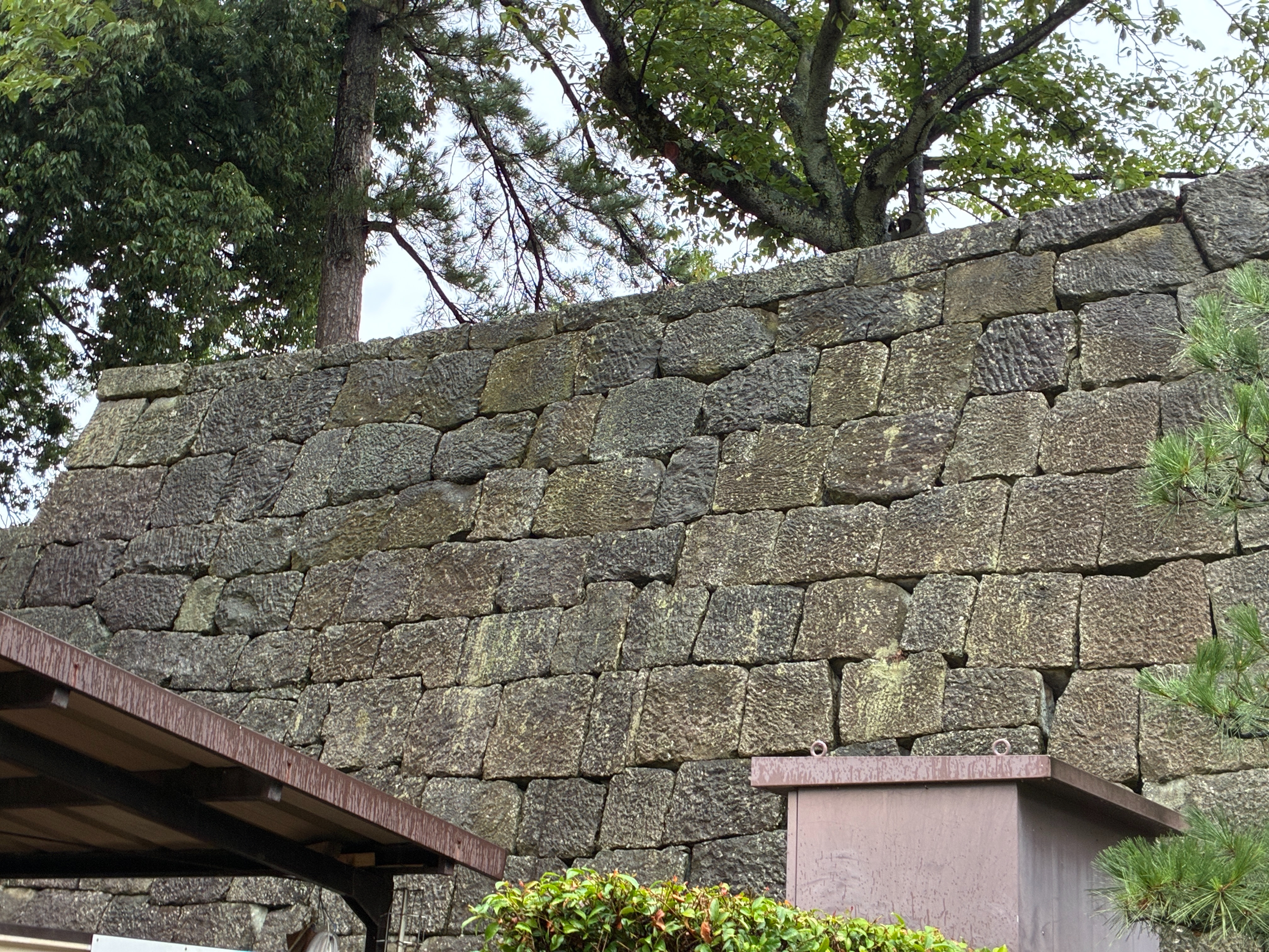 福井城本丸跡 北不明門跡 しっかり積まれた石垣