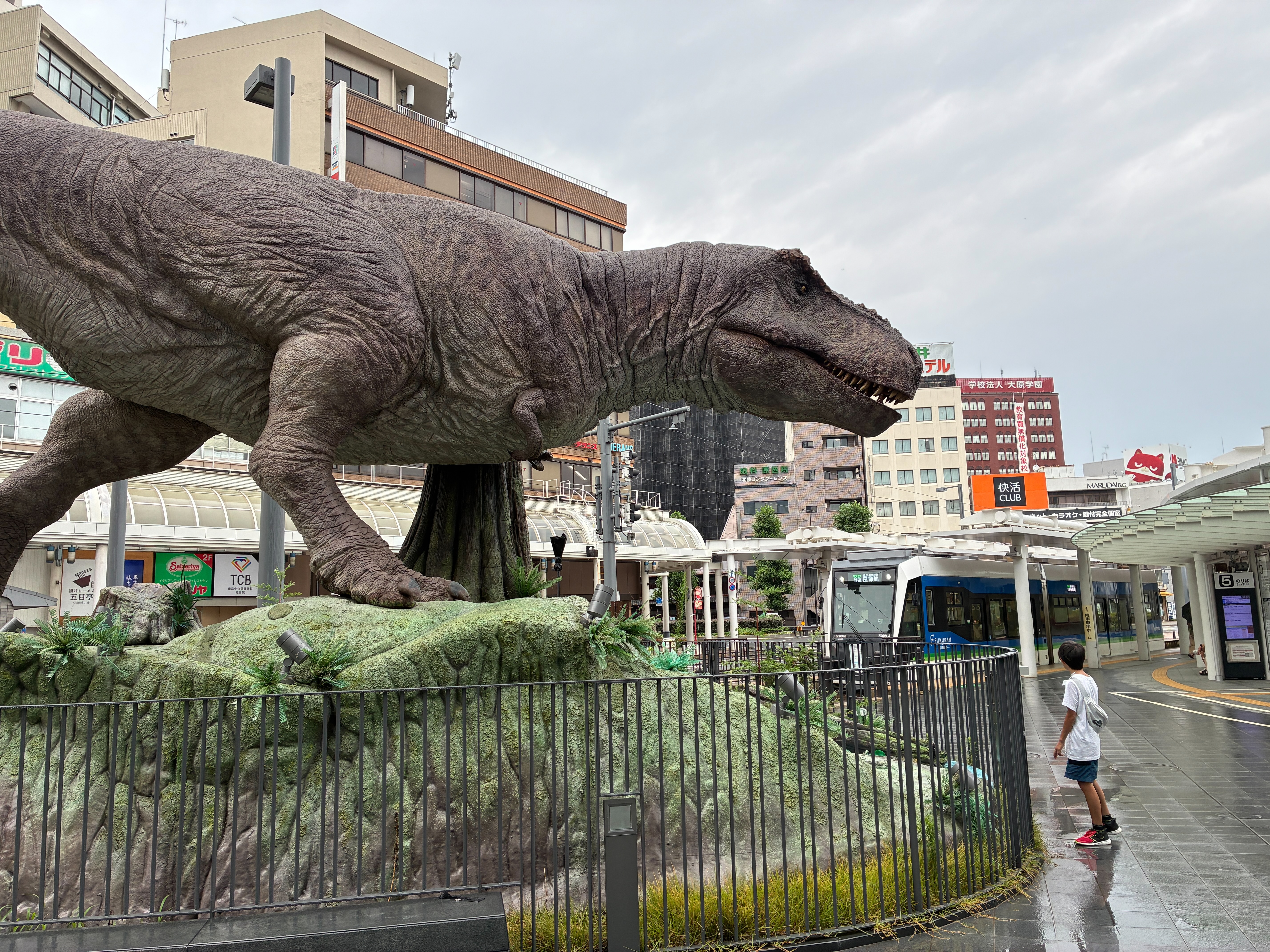 福井駅 ティラノサウルス・レックス