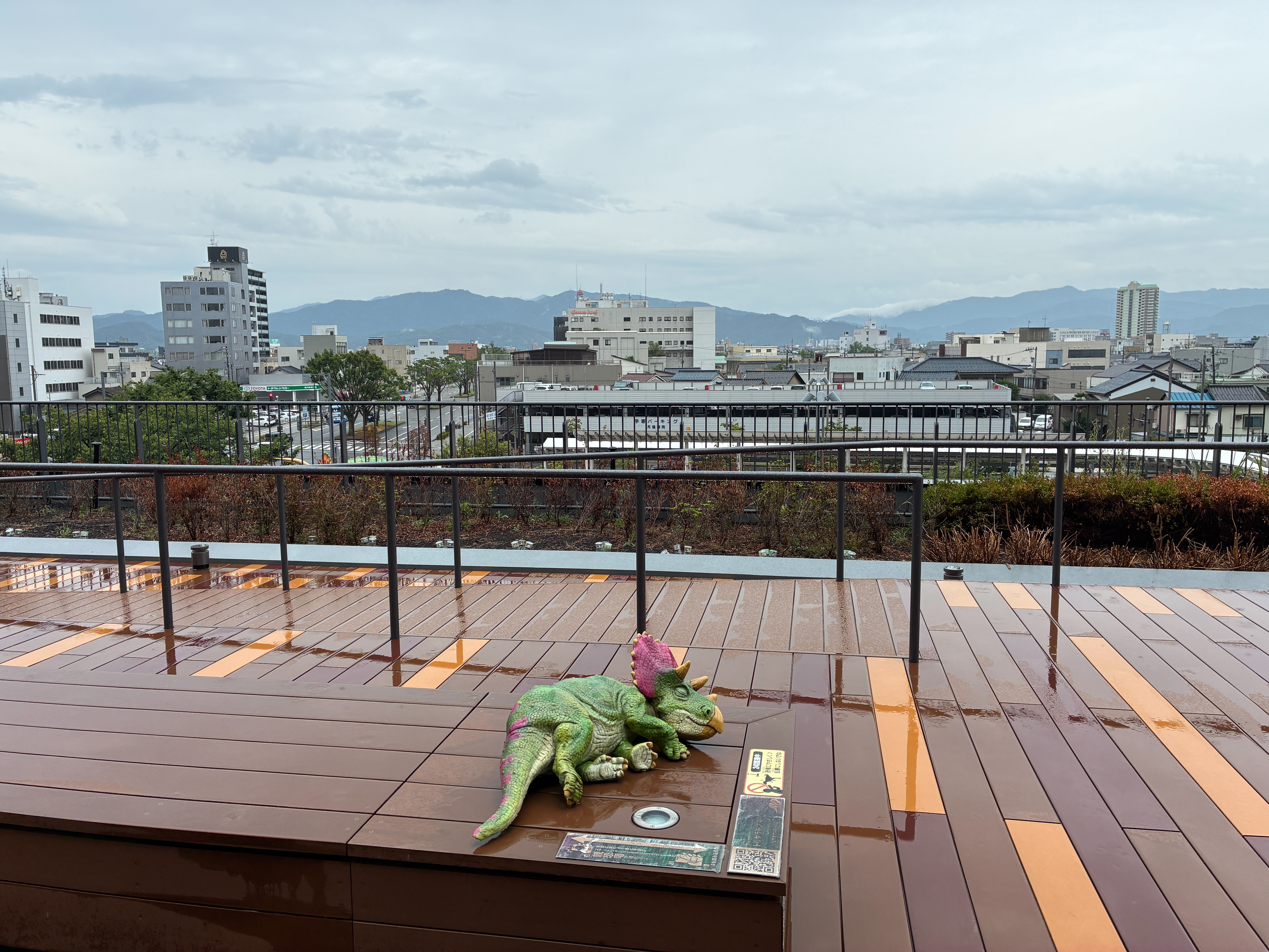 福井市観光交流センター屋上広場 トリケラトプス幼体