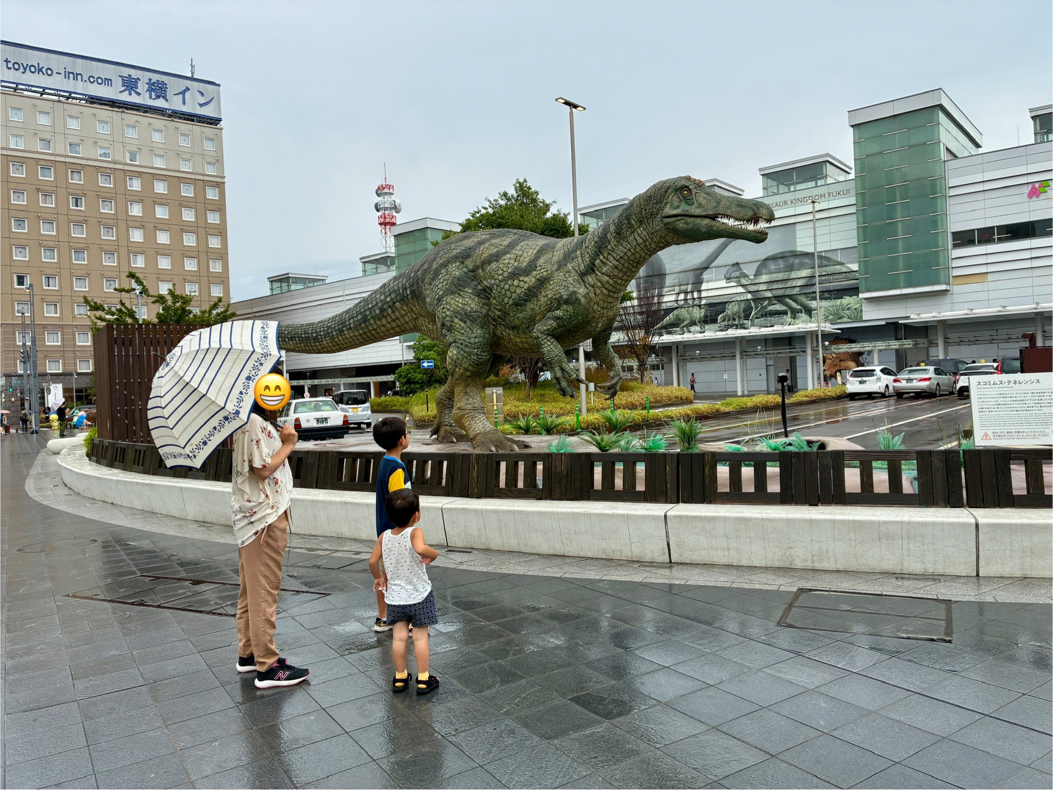 福井駅 スコミムス・テネレンシス