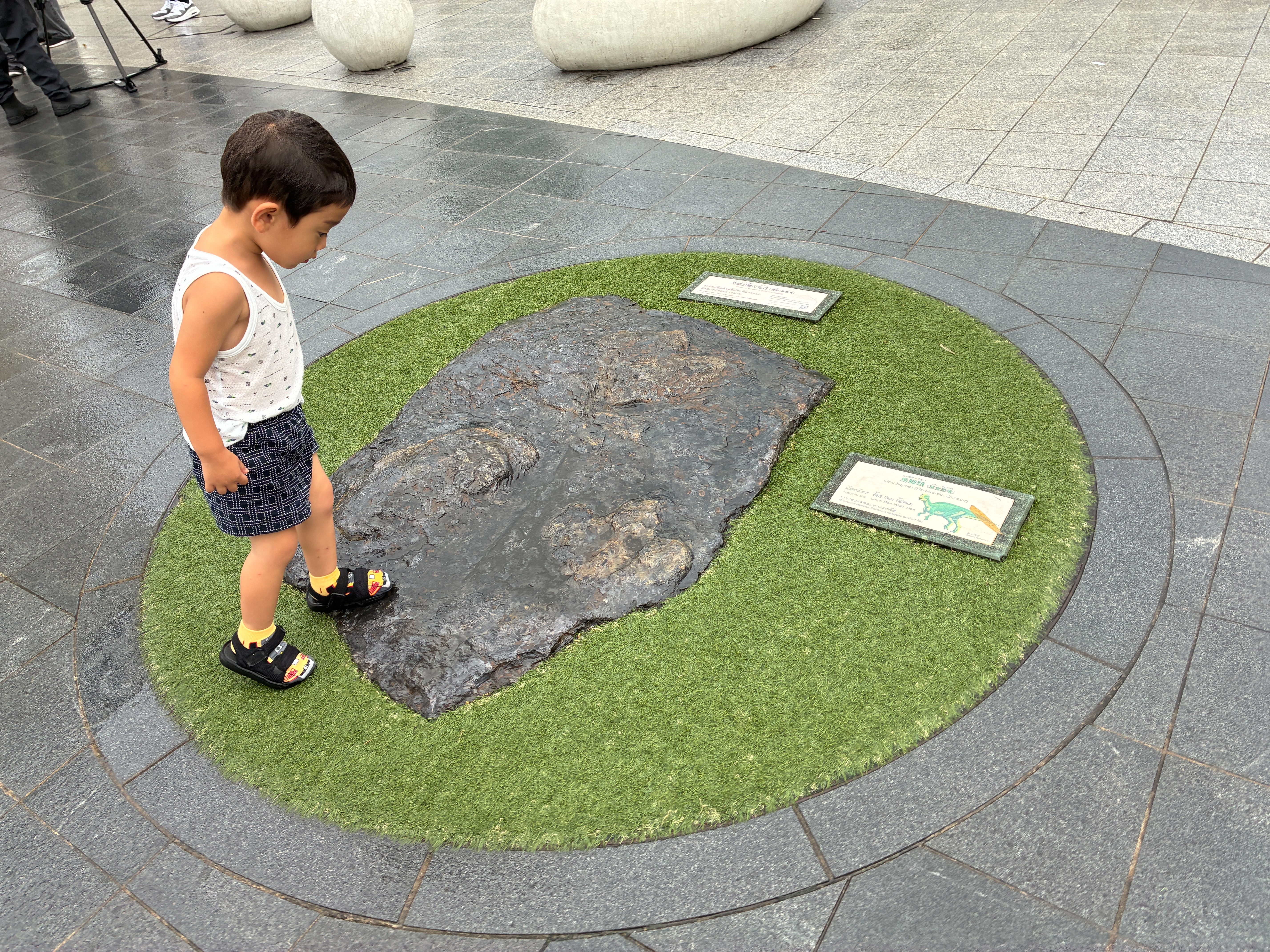 福井駅 鳥脚類の足跡レプリカ