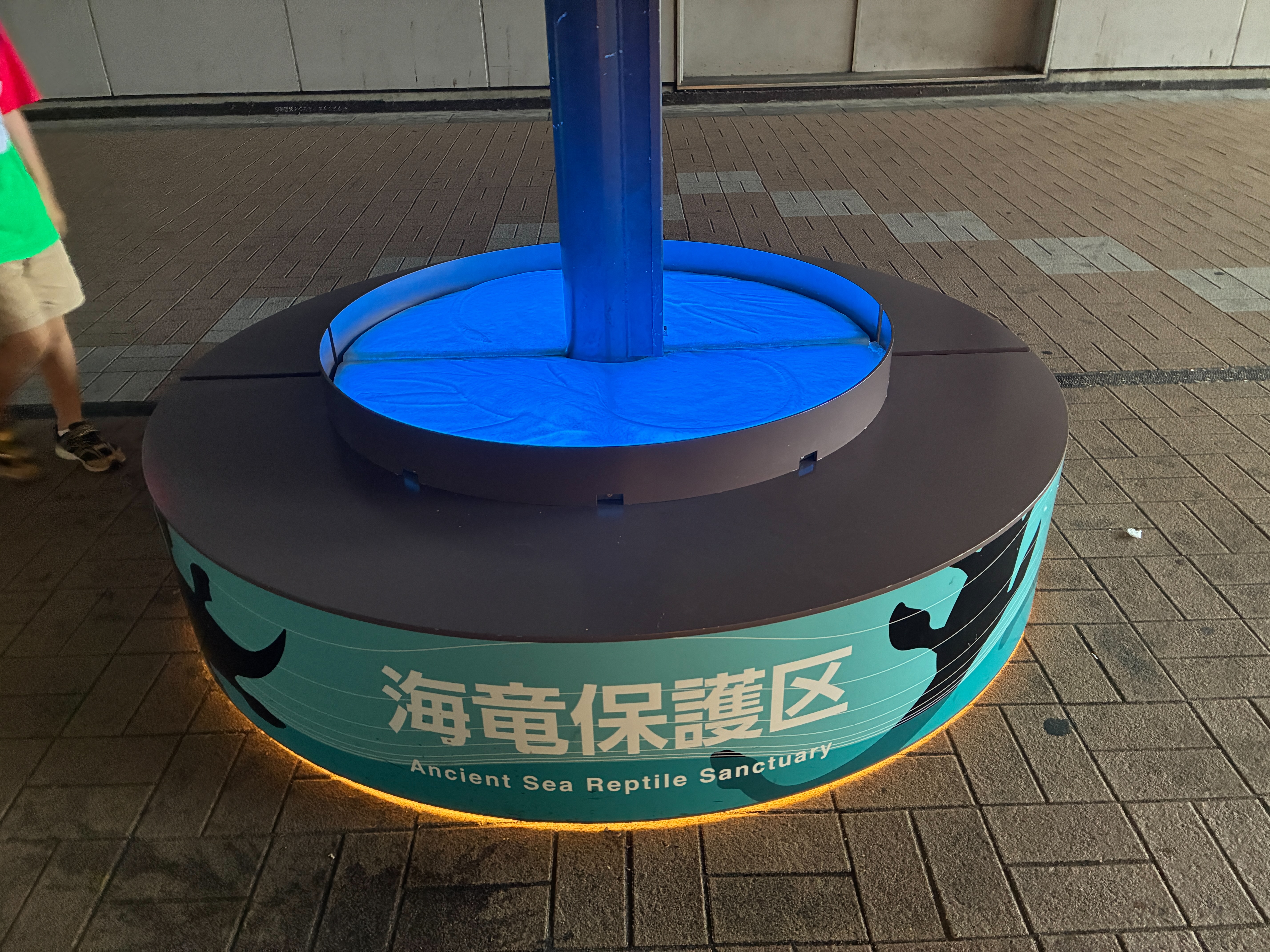 福井駅 海竜保護区 ベンチ