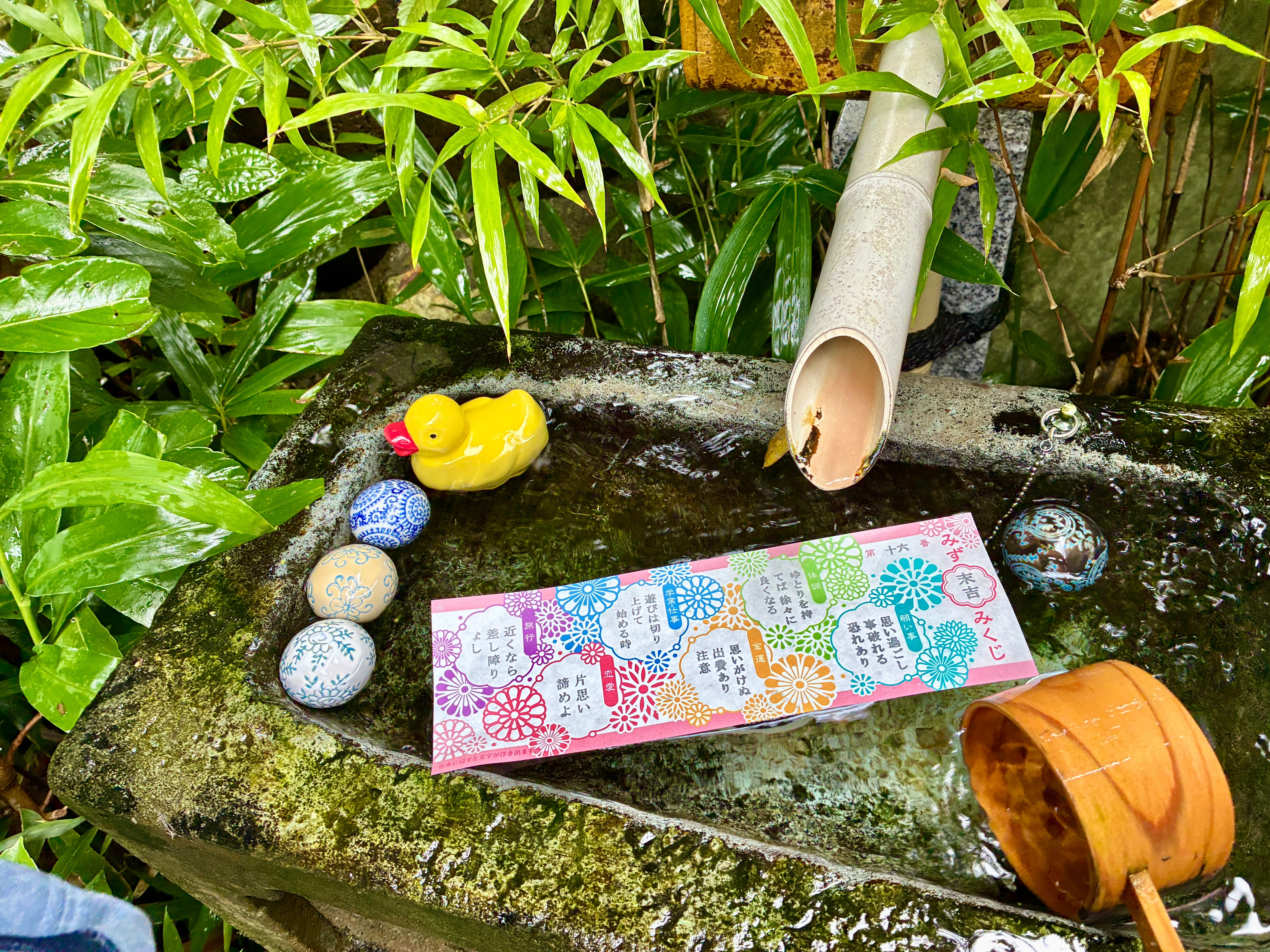 毛谷黒龍神社 水みくじ