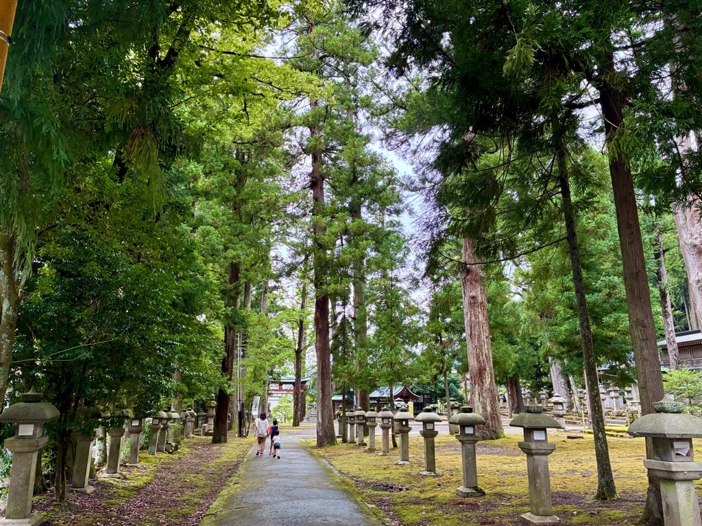 岡太神社・大瀧神社 境内の杉木立