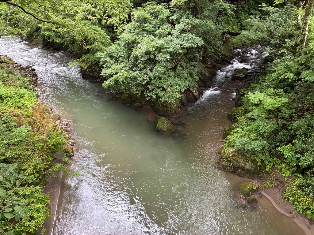 福井のかずら橋 足羽川渓谷