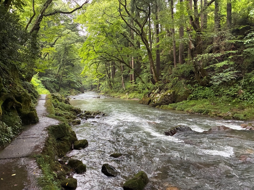 福井のかずら橋 森と川の遊歩道
