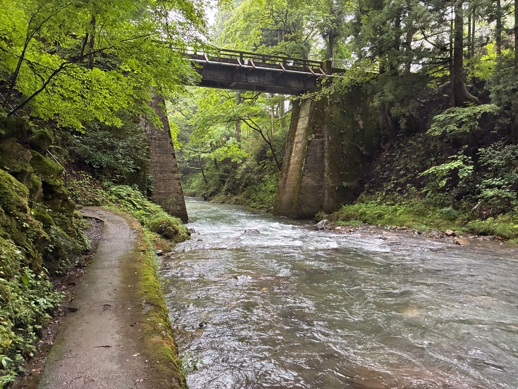 福井のかずら橋 森と川の遊歩道