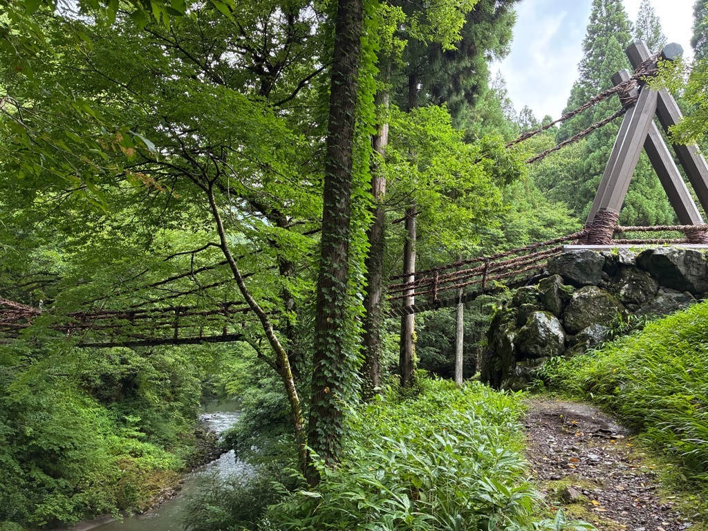 福井のかずら橋 森と川の遊歩道