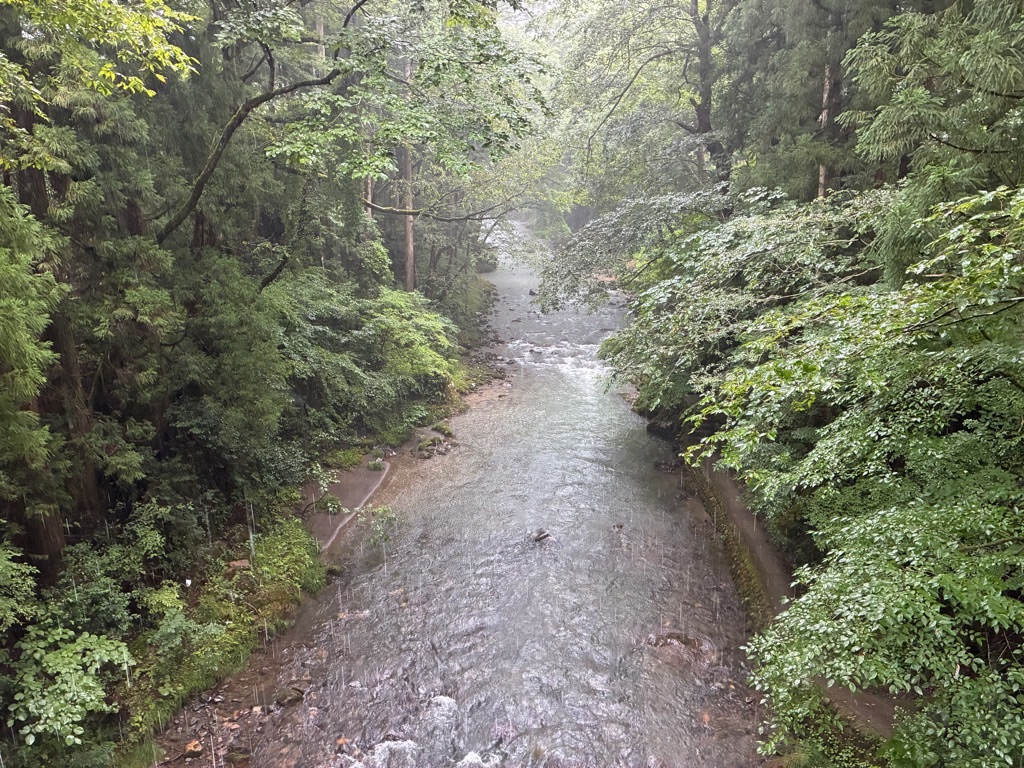 福井のかずら橋 小橋から足羽川を眺める