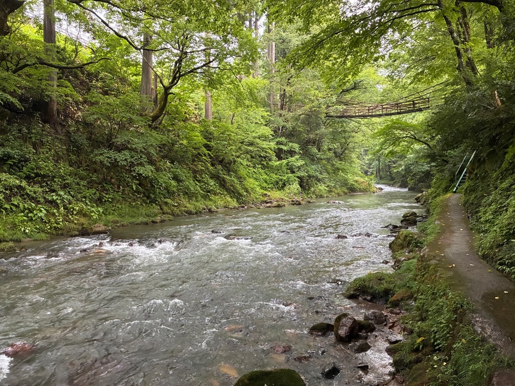 福井のかずら橋 森と川の遊歩道