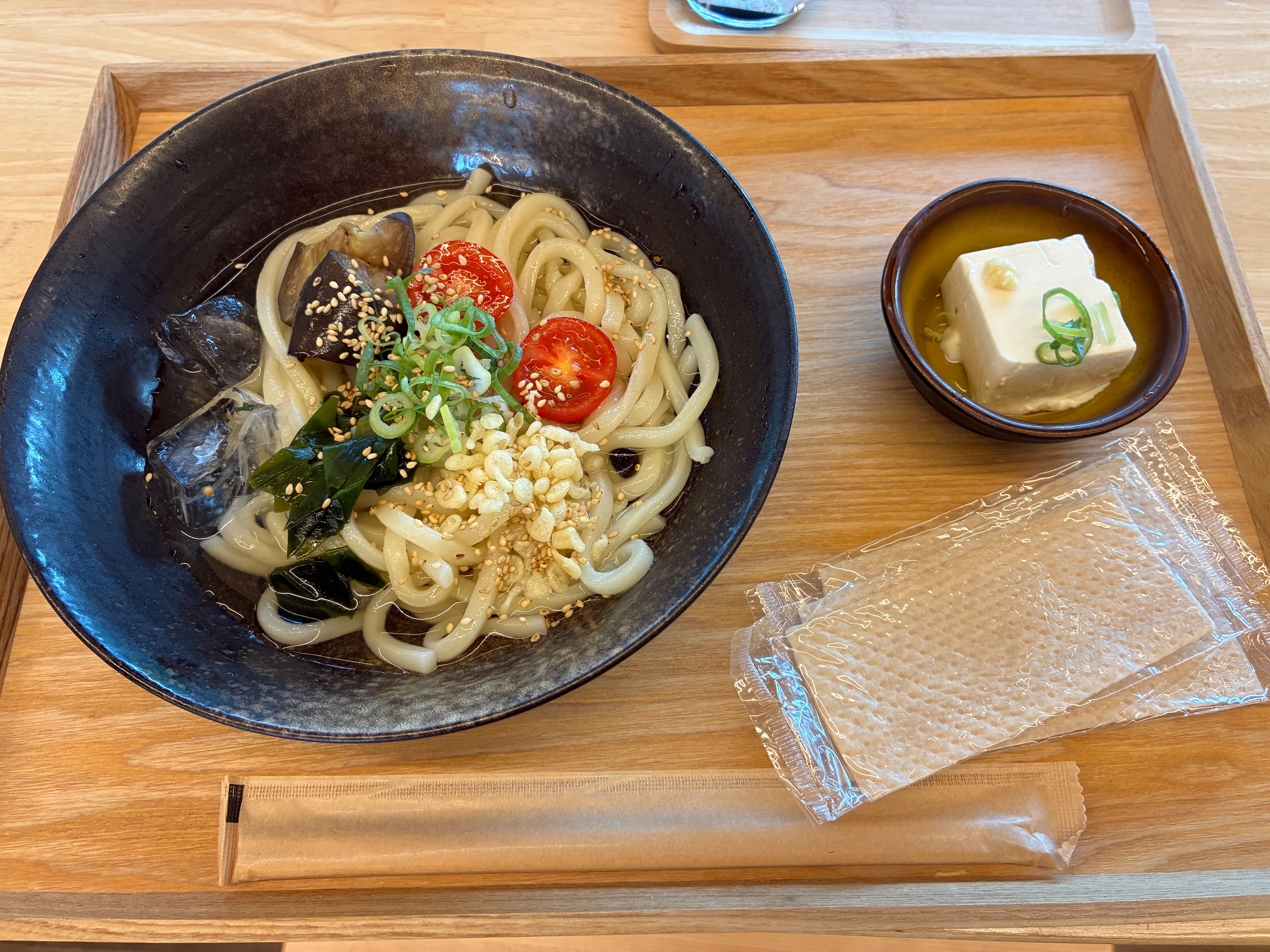 道のオアシス フォーシーズンテラス 冷やしうどん