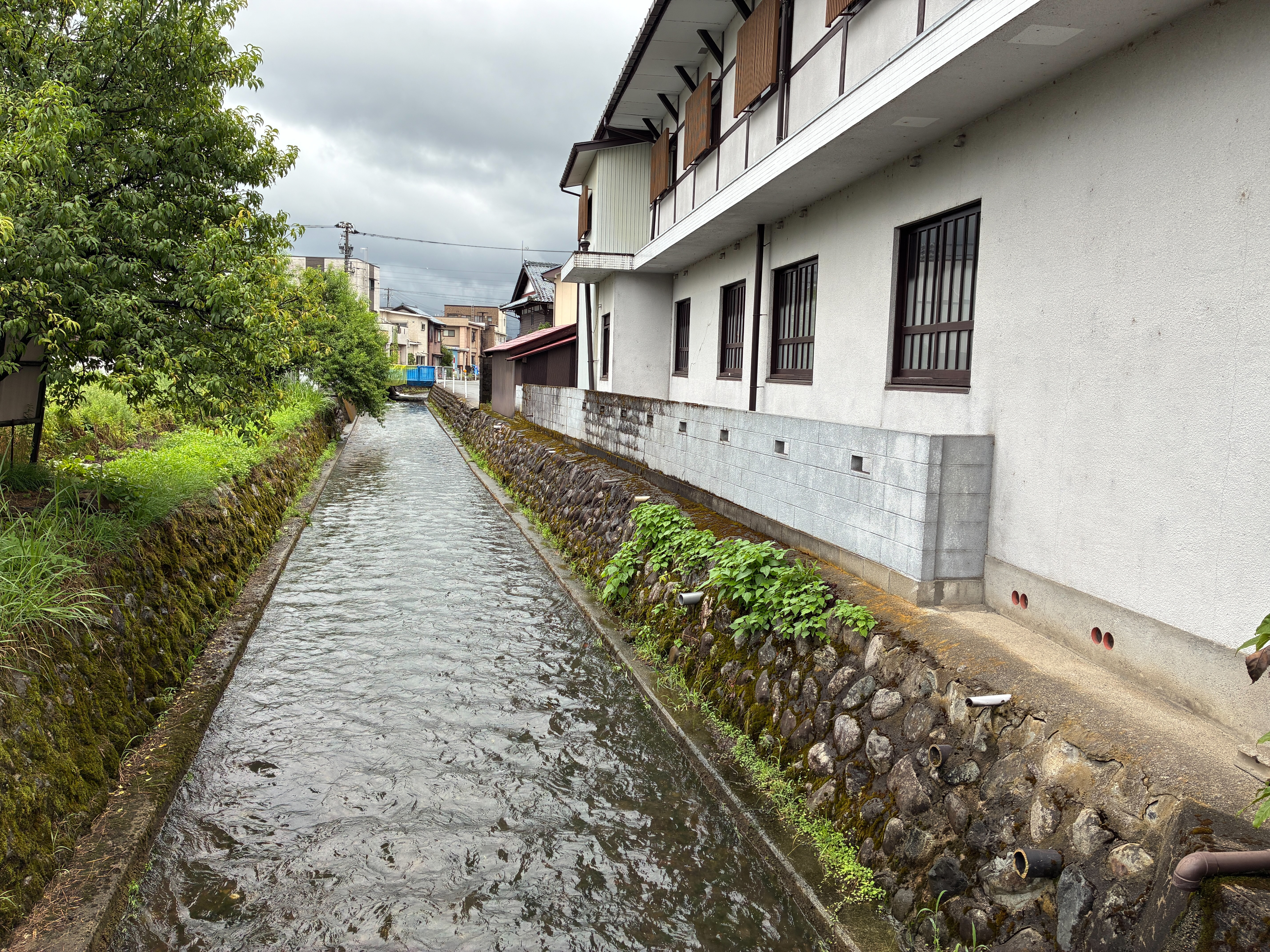 越前大野 水路