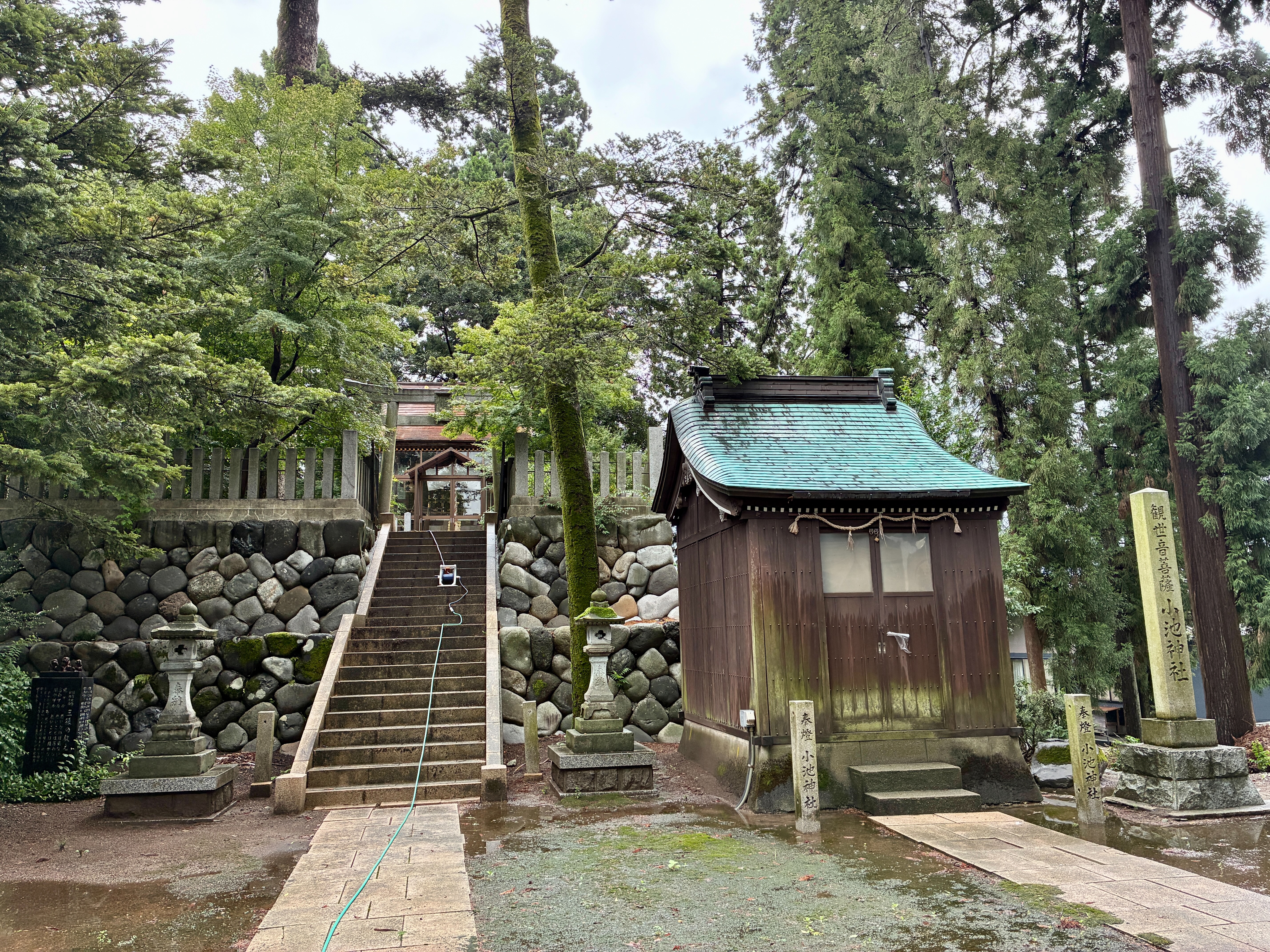越前大野 日吉神社 観世音菩薩 小池神社