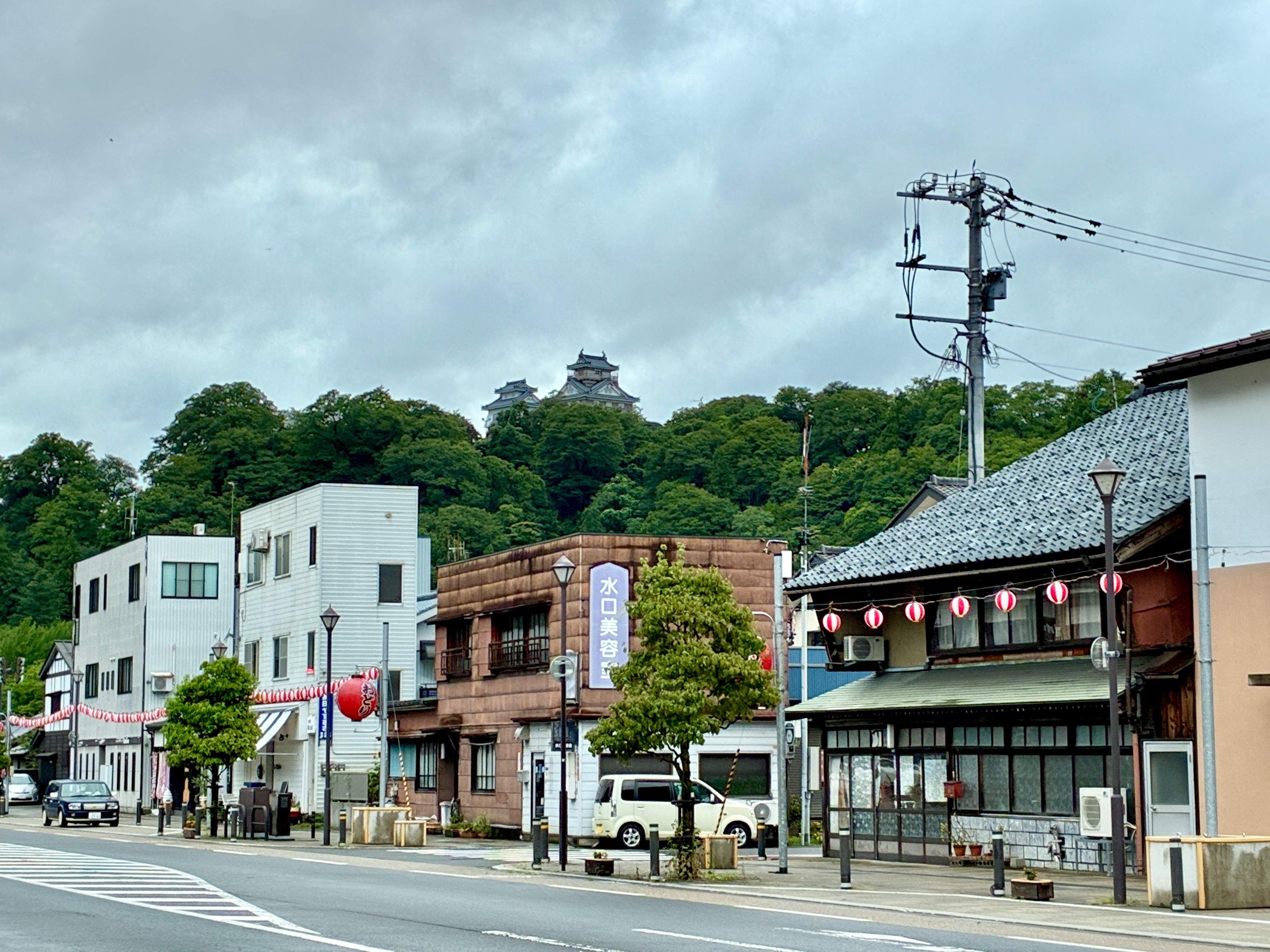 越前大野城下町 越前大野城遠望