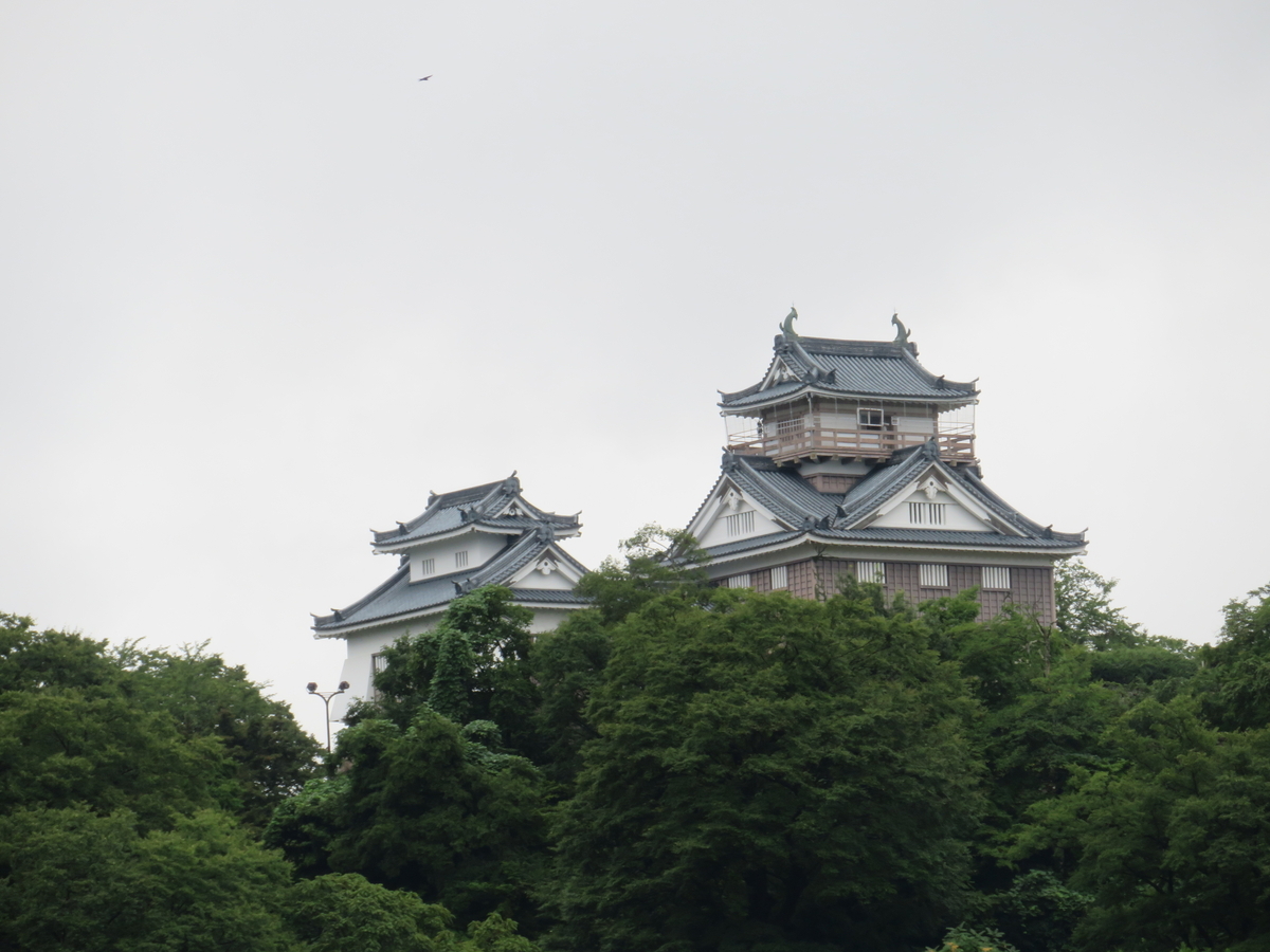 越前大野城 城下町からの眺望