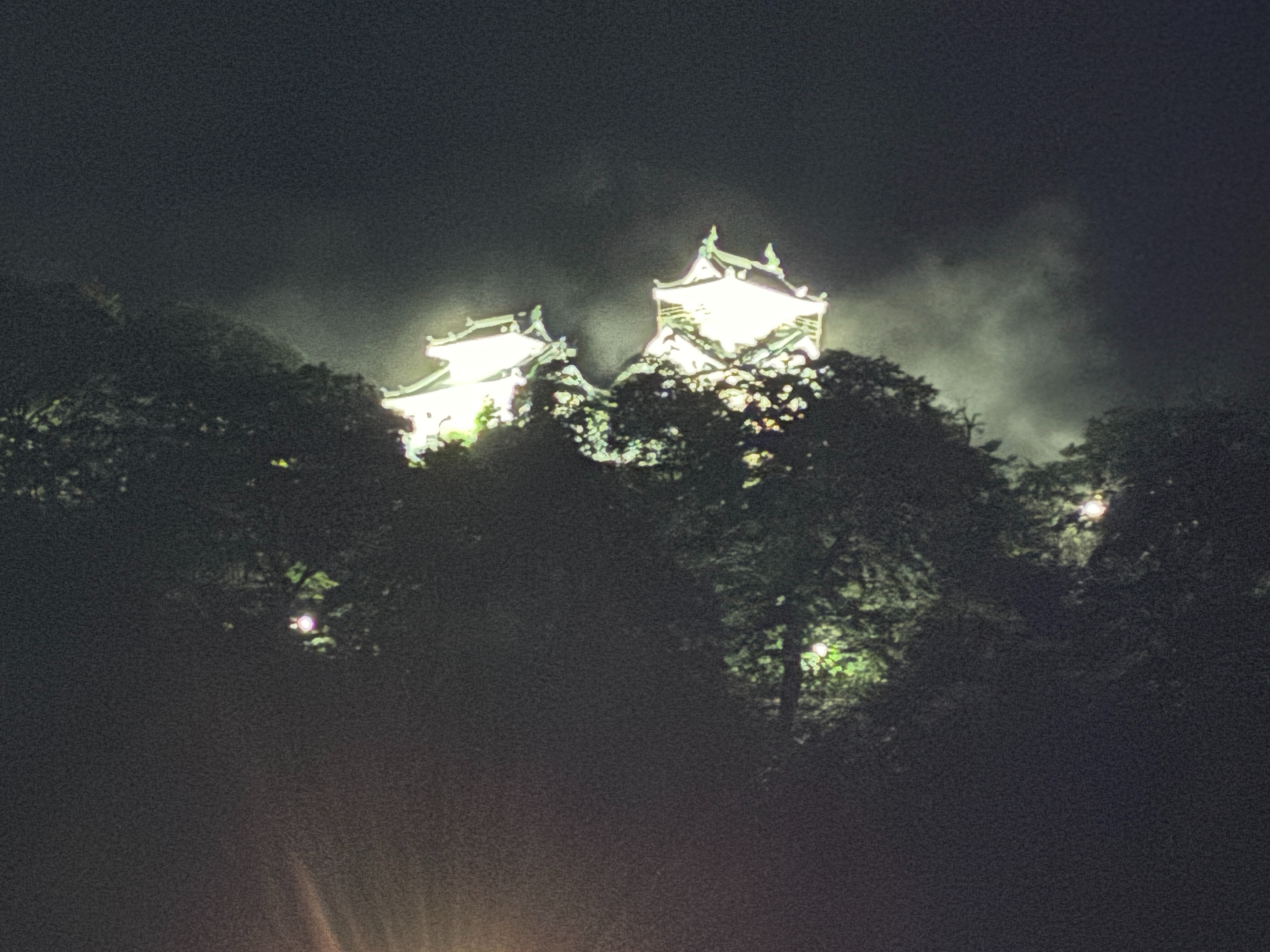 越前大野城 天守ライトアップ