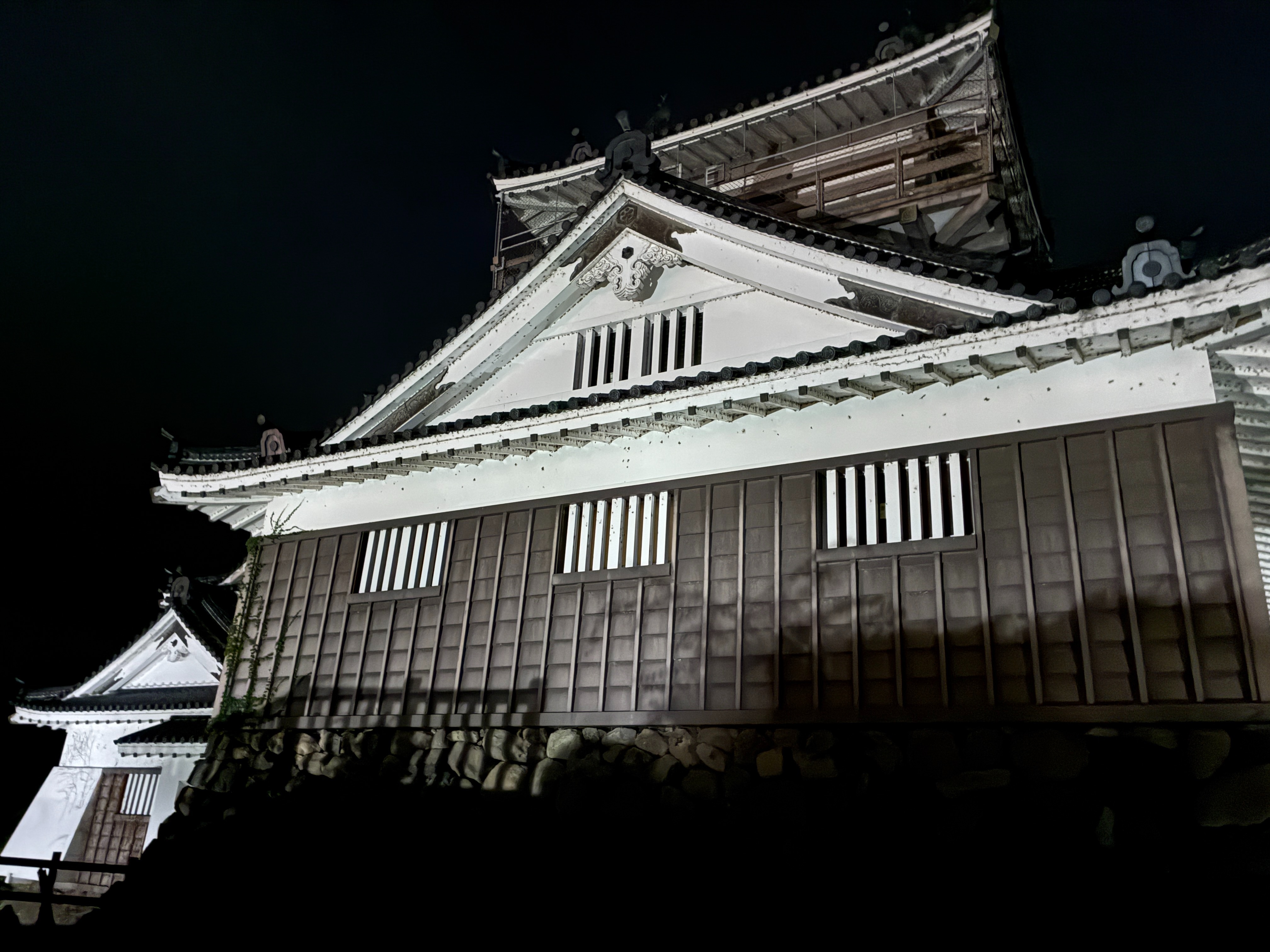 越前大野城 天守 夜