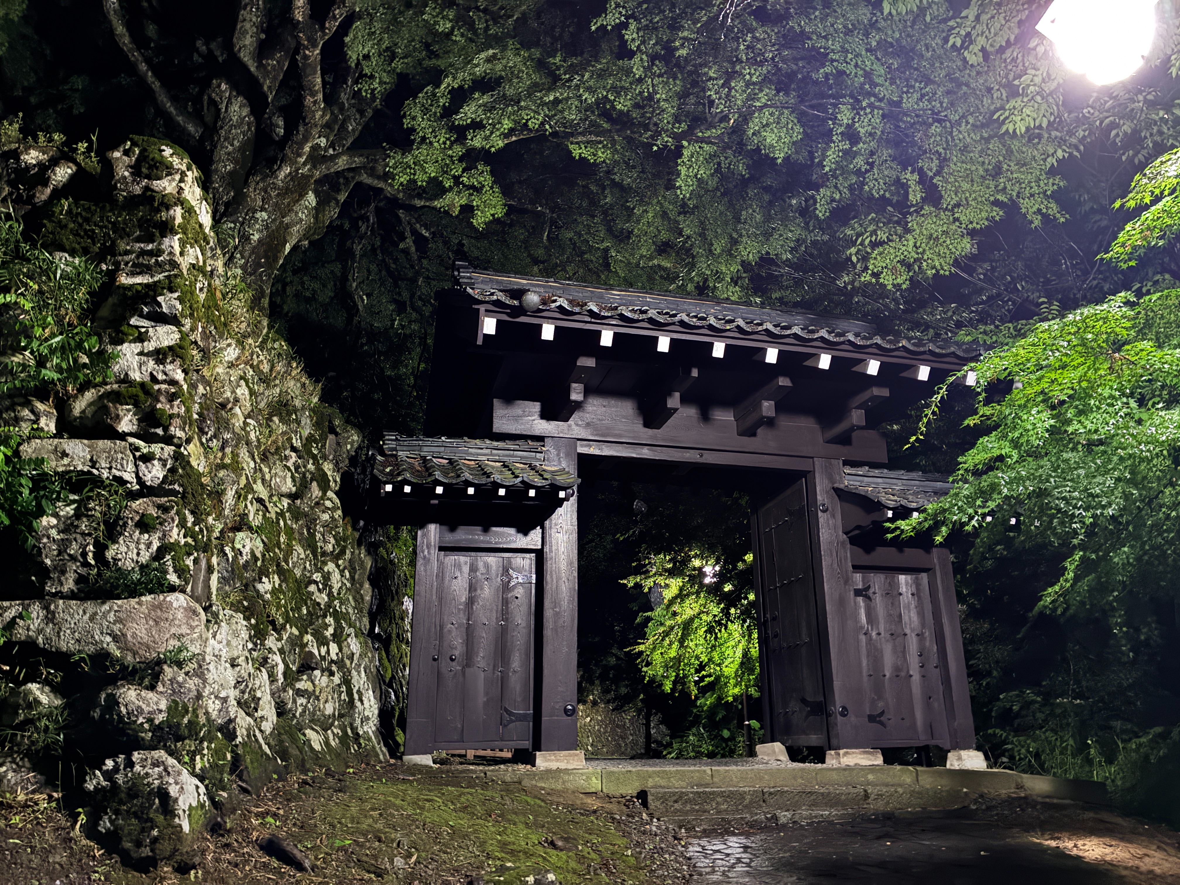越前大野城 本丸城門 夜