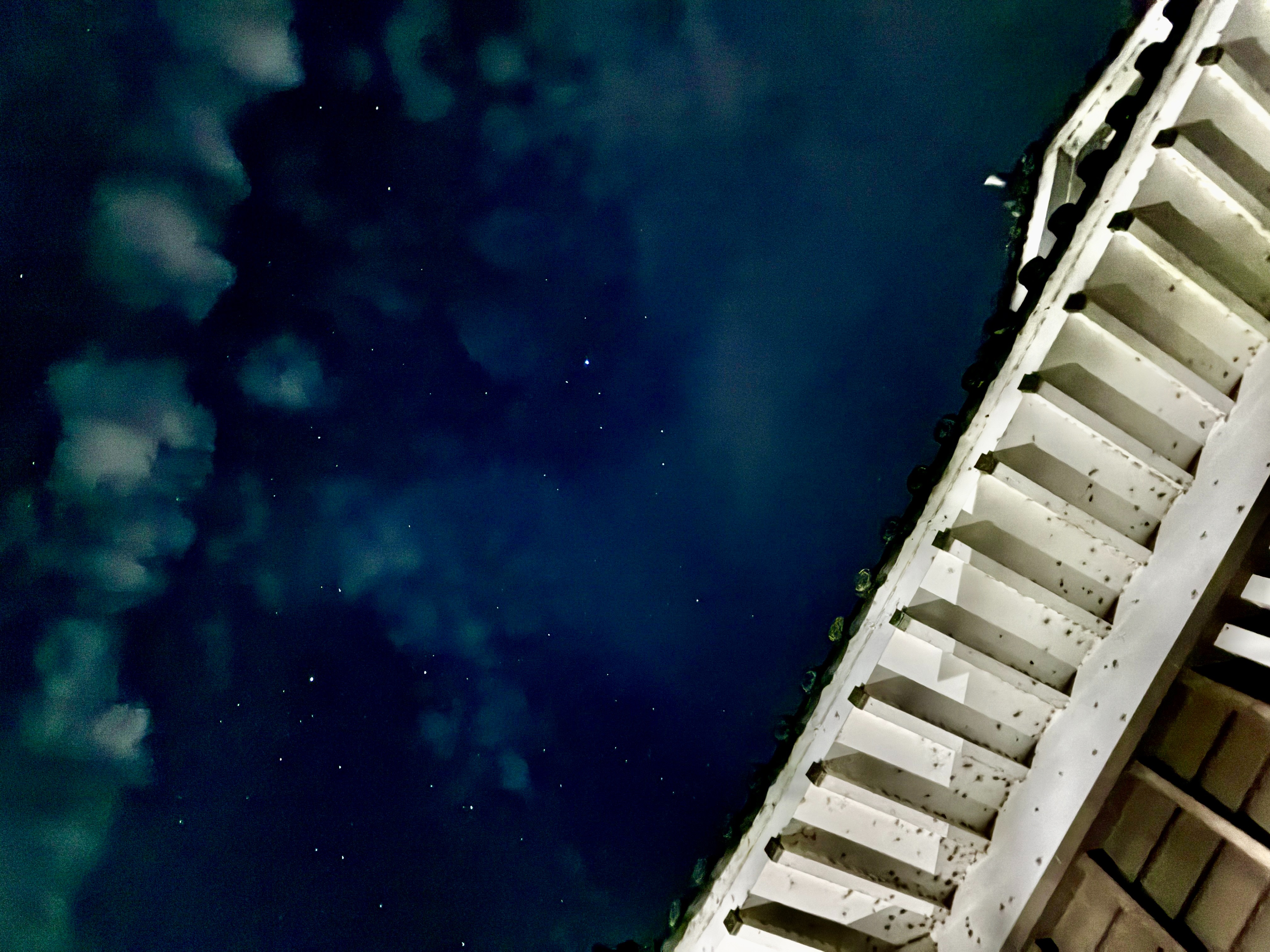 越前大野城 天守と夜空