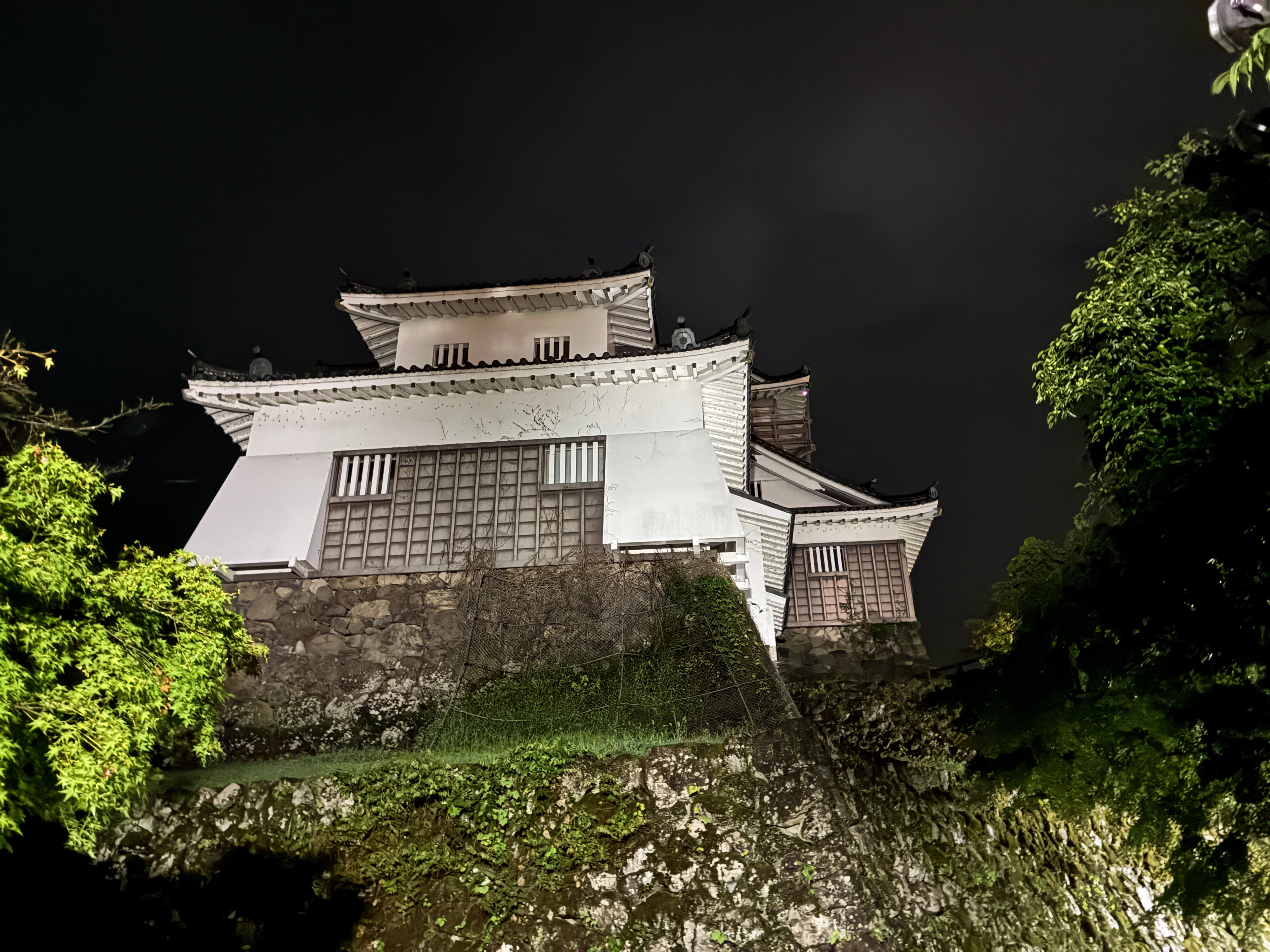 越前大野城 天守台下から天守 夜