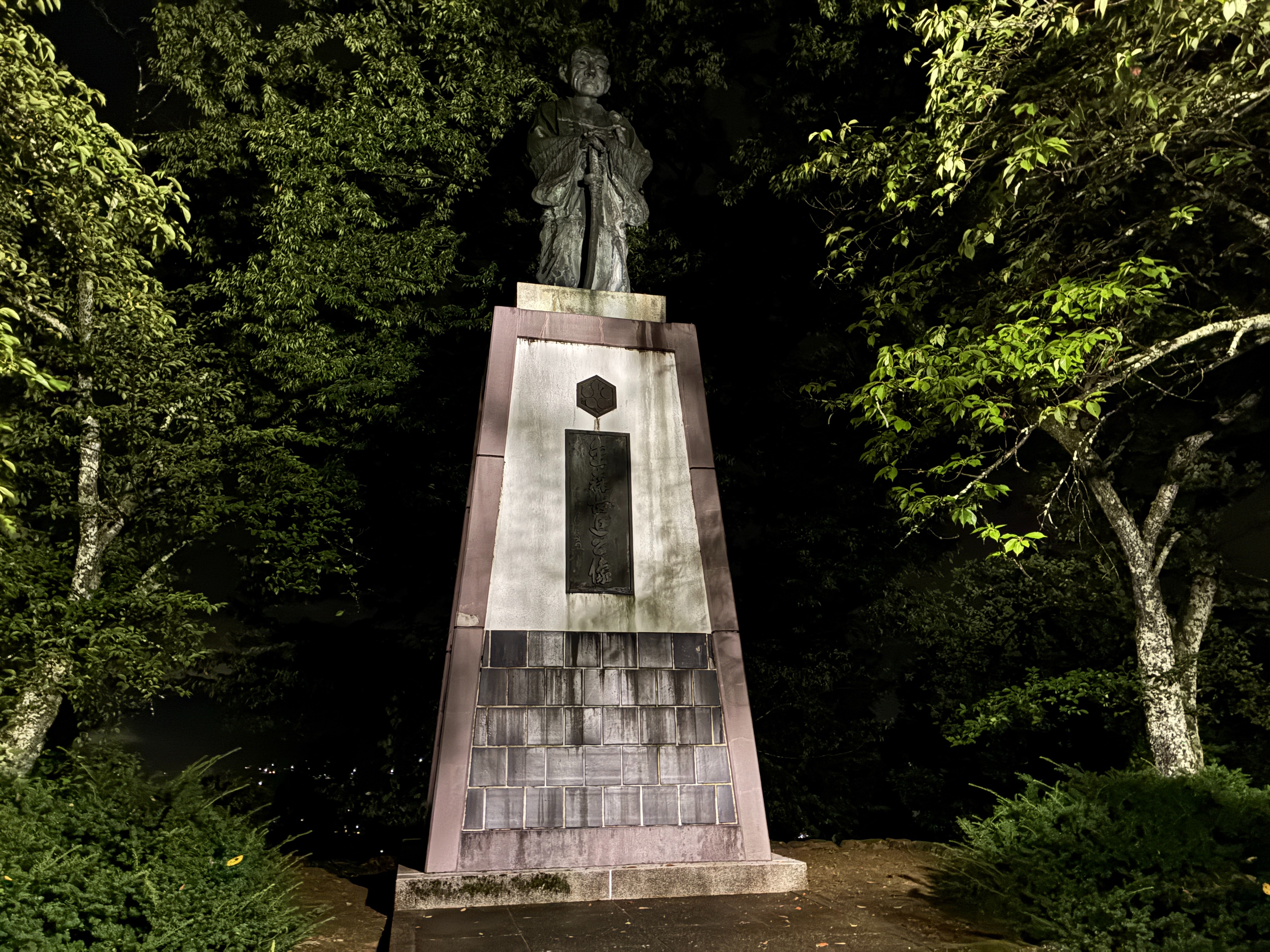 越前大野城 金森長親公像 夜