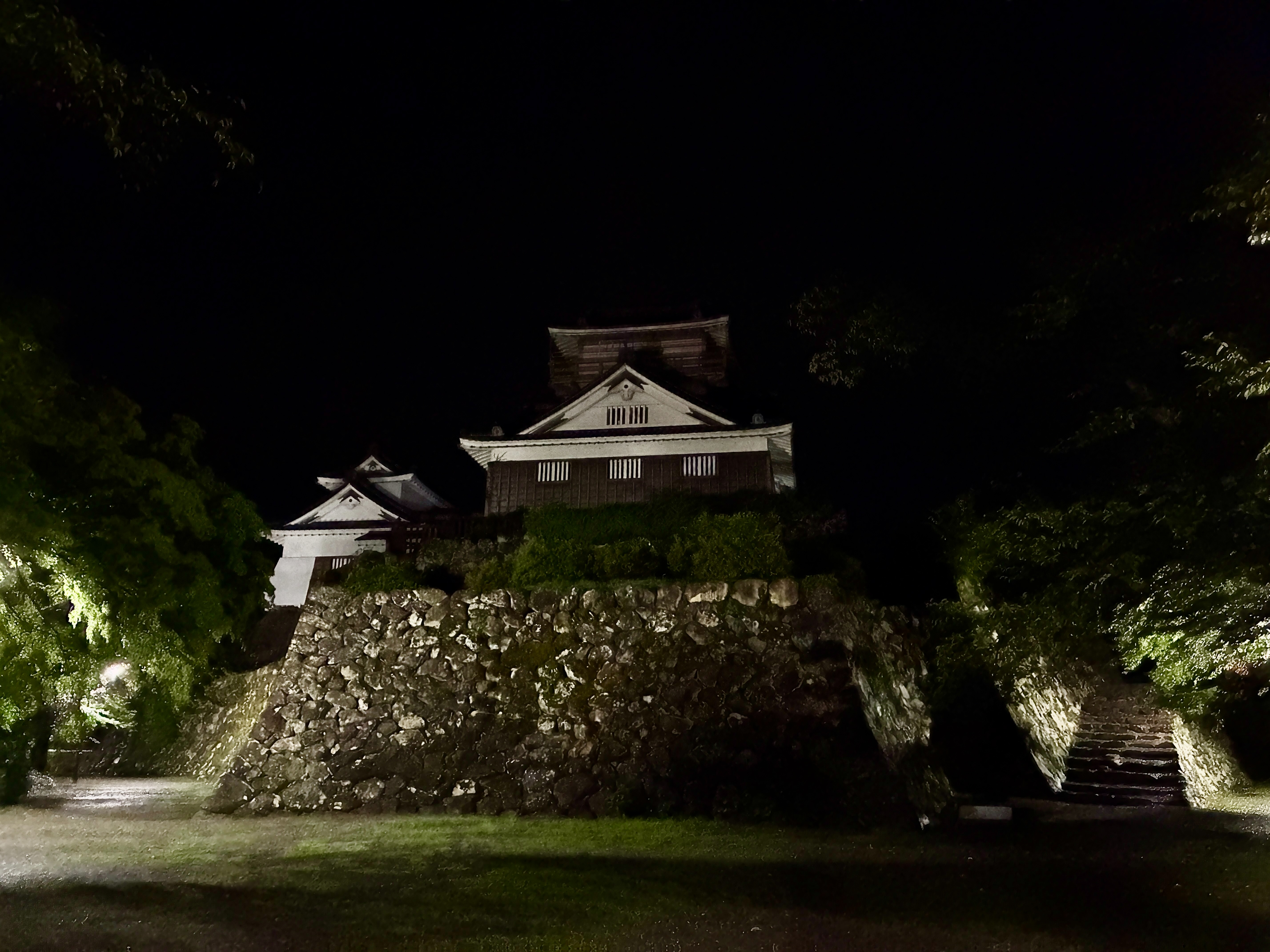 越前大野城本丸から天守 夜 