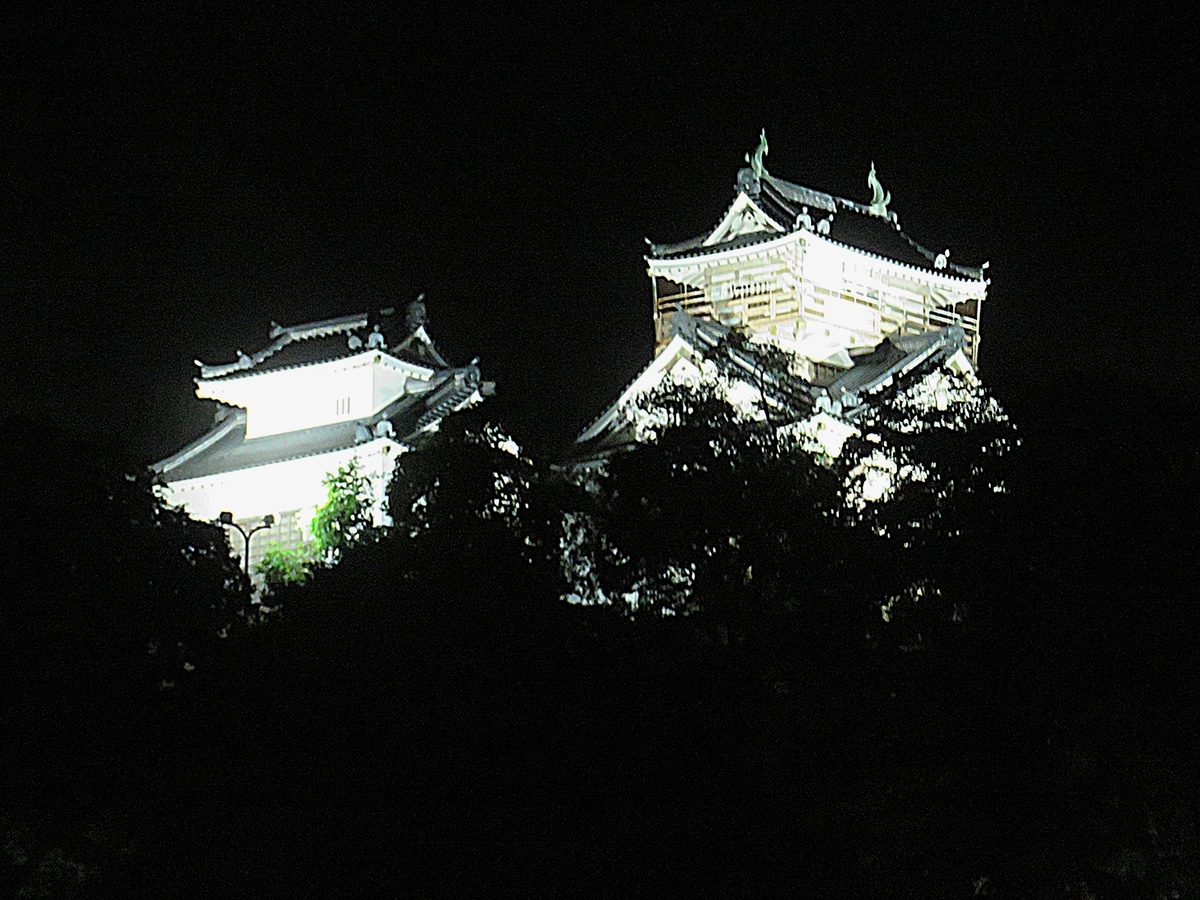 越前大野城天守ライトアップ