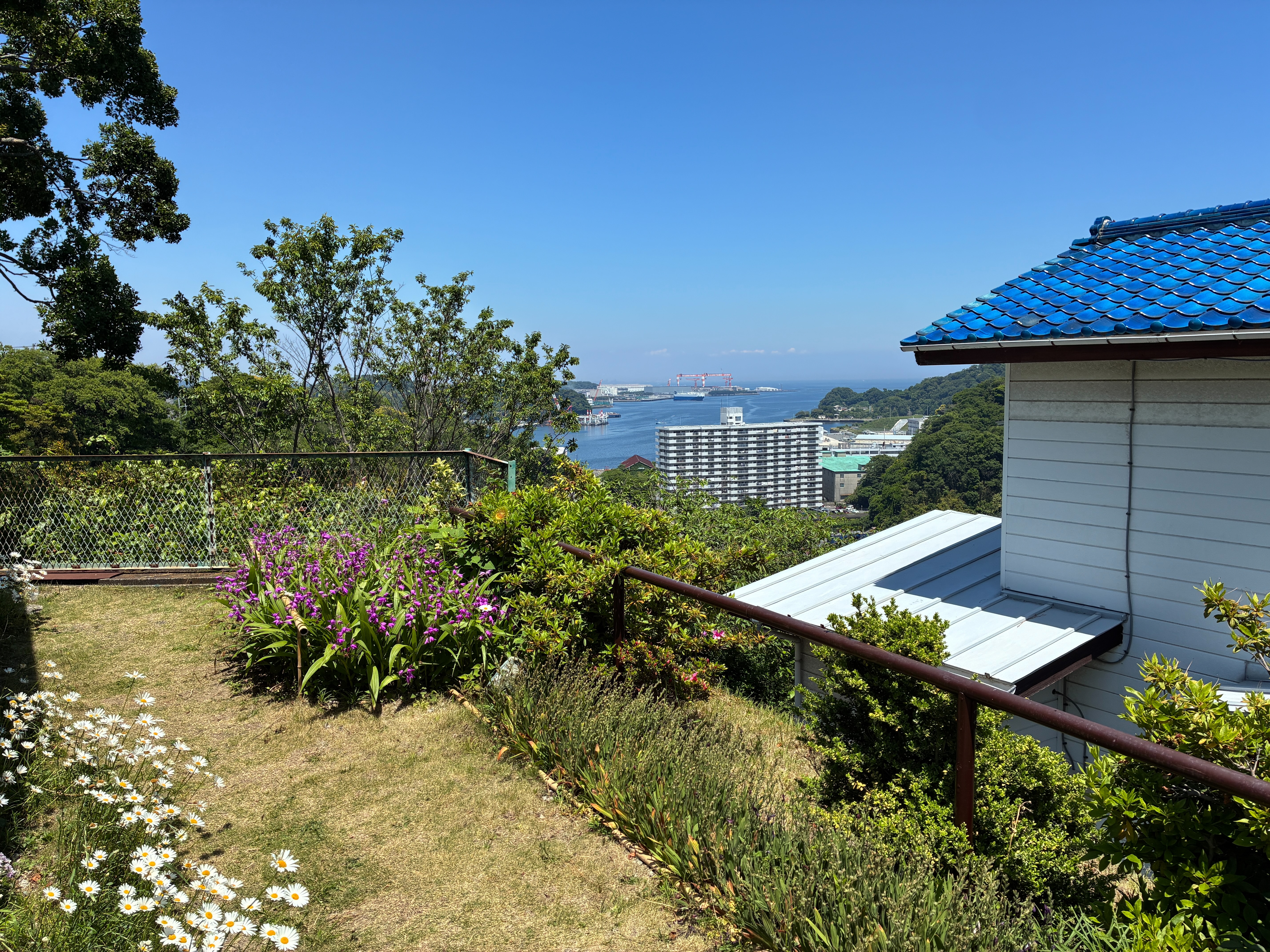 横須賀市 月見台住宅 裏庭の眺望