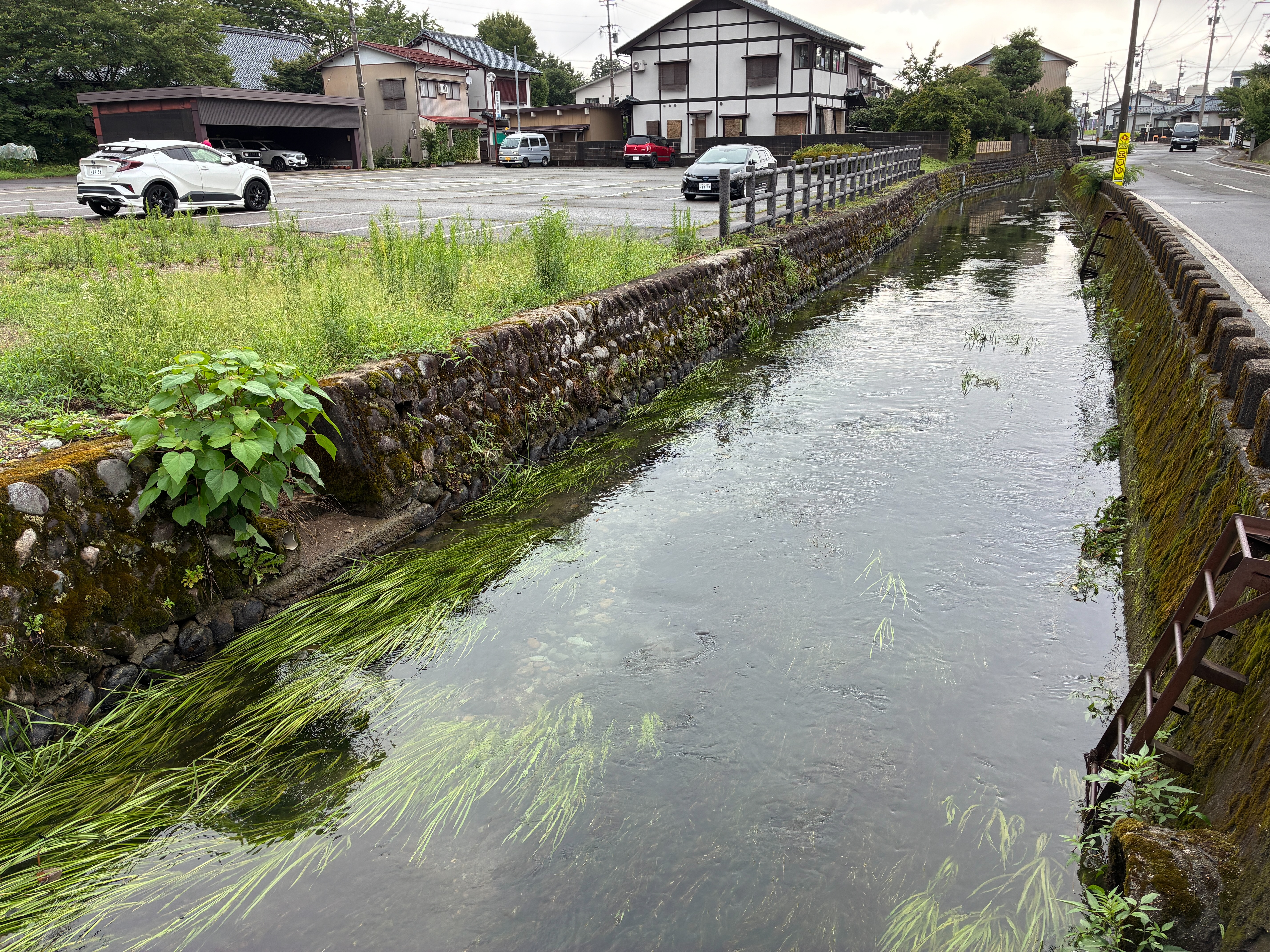 越前大野城 外堀 新堀川