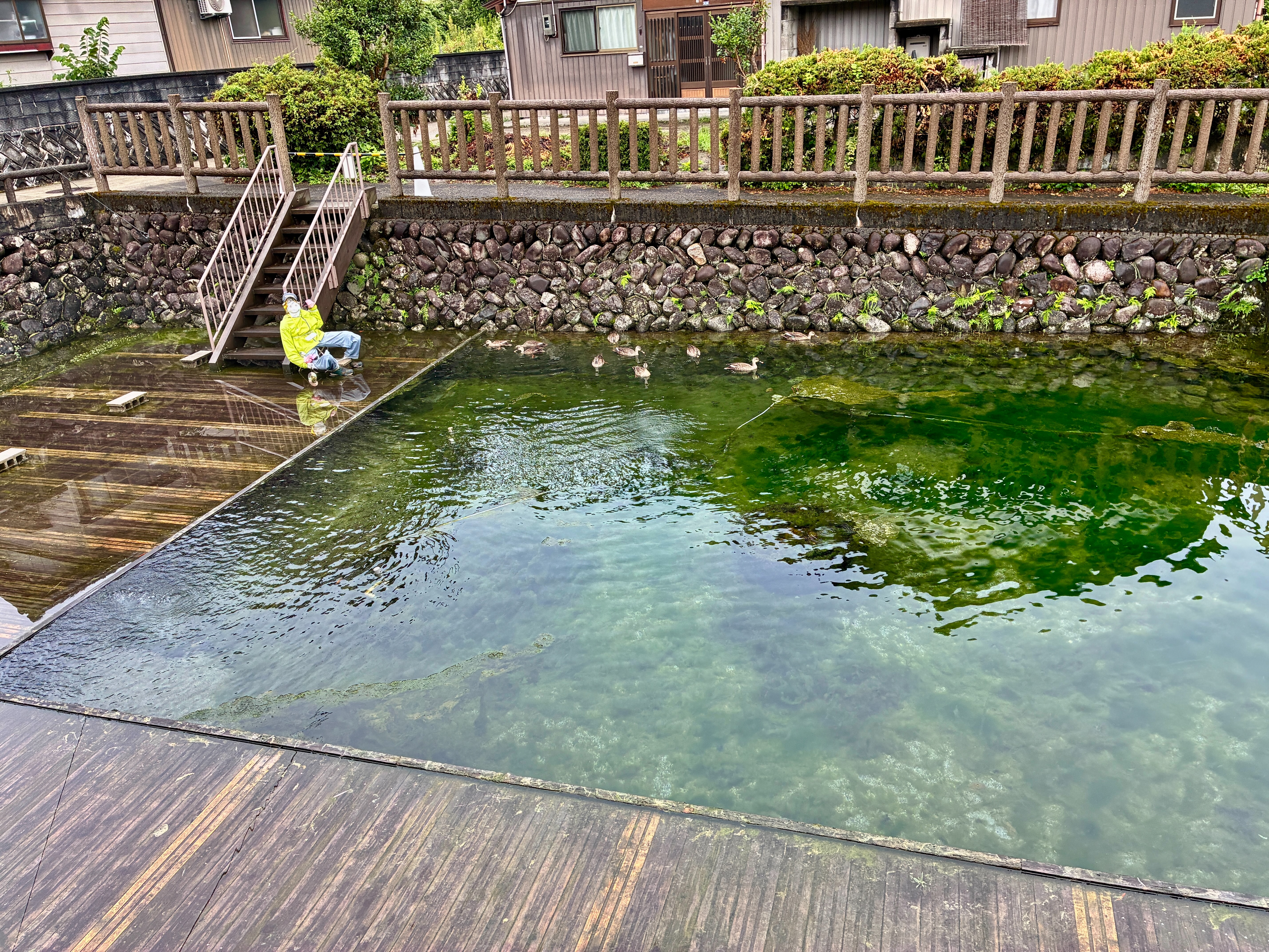 本願清水イトヨの里 カカシ