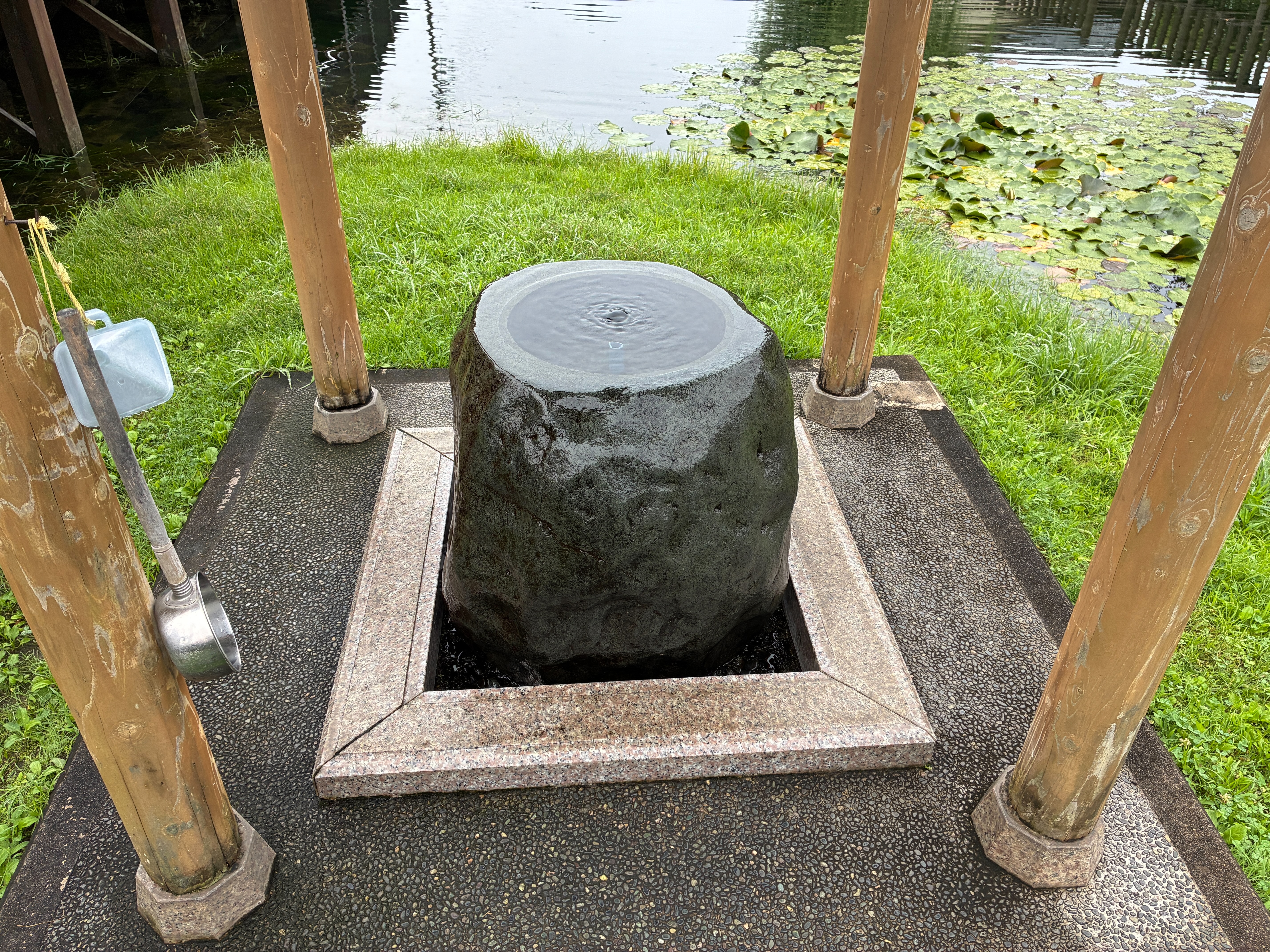 本願清水イトヨの里 湧水