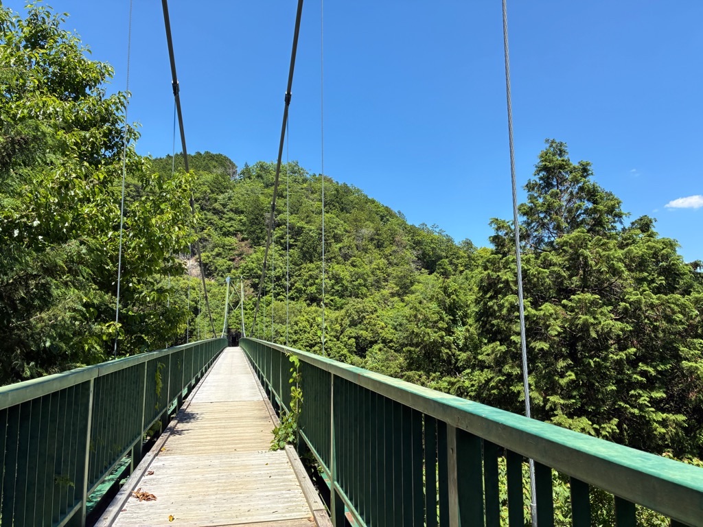 備中松山城 大松山つり橋
