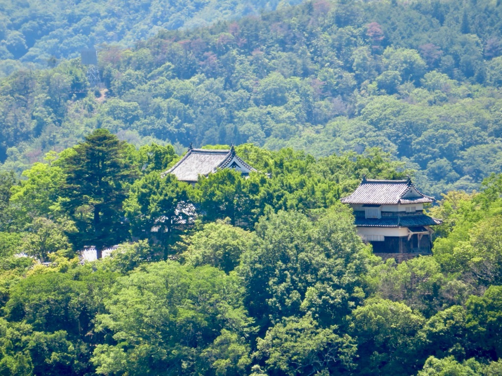 天空の城 備中松山城展望台から天守