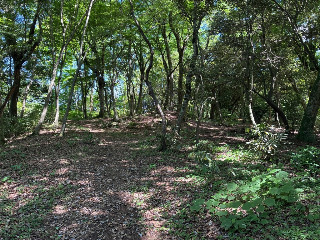 備中松山城 大松山城本丸跡
