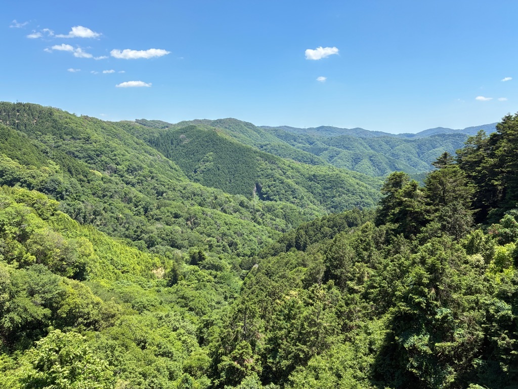 備中松山城 大松山つり橋からの眺め