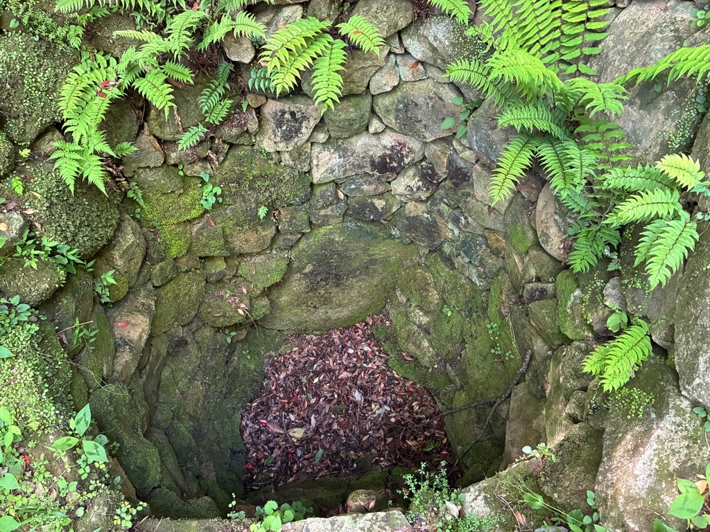 備中松山城 大松山城井戸跡