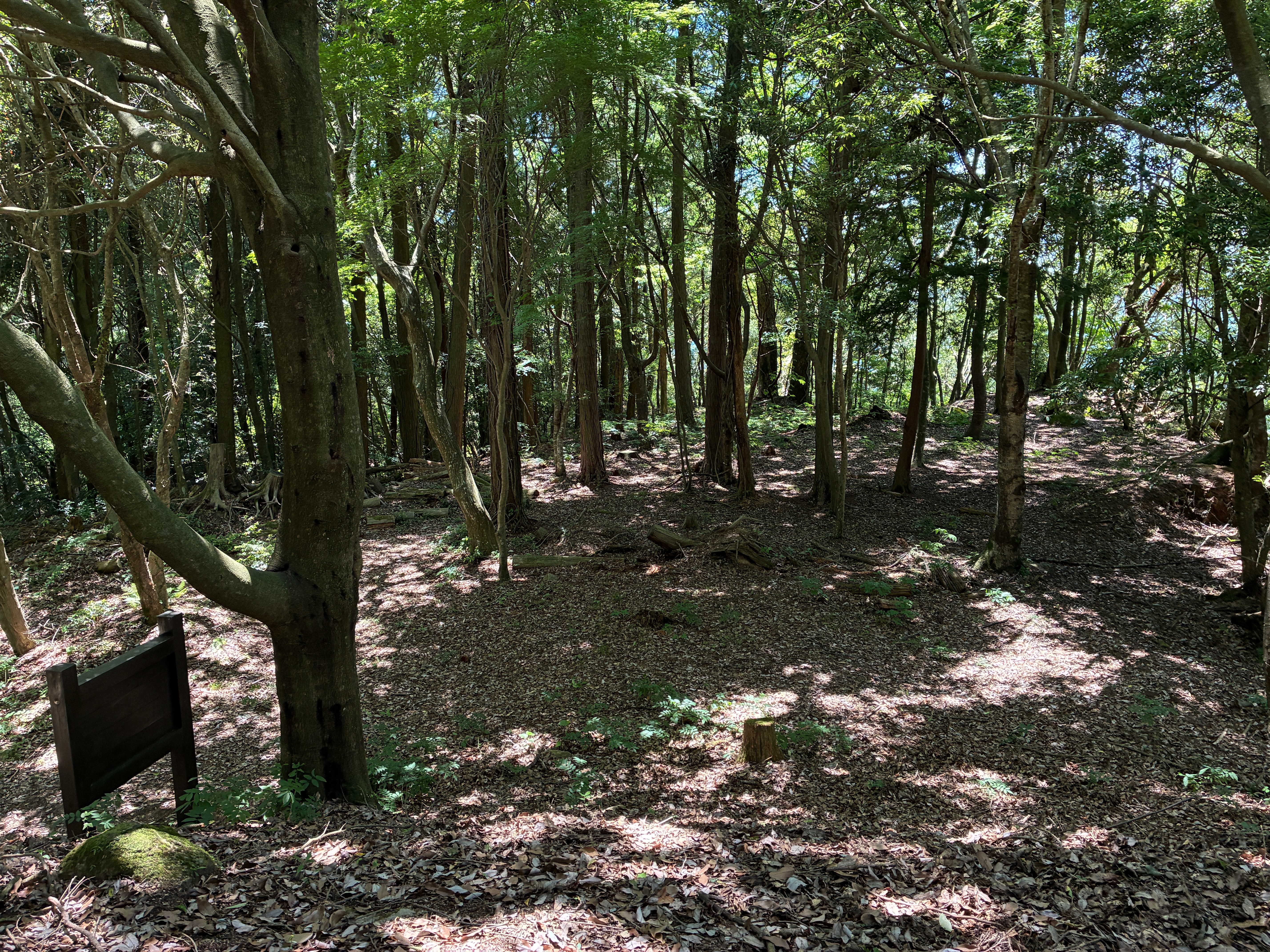 備中松山城 天神社跡から下段を眺める