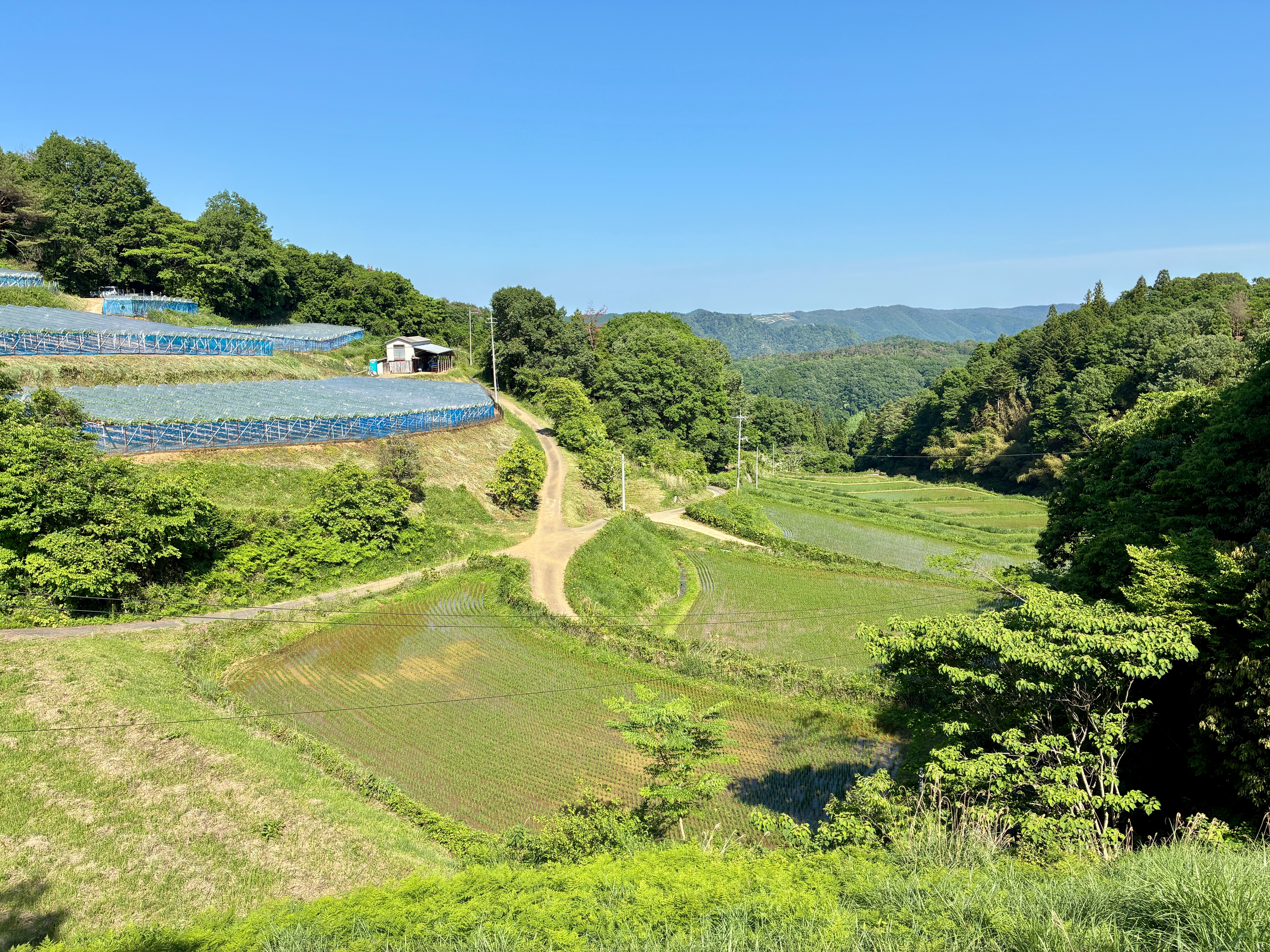 備中松山城を望む見晴らし台