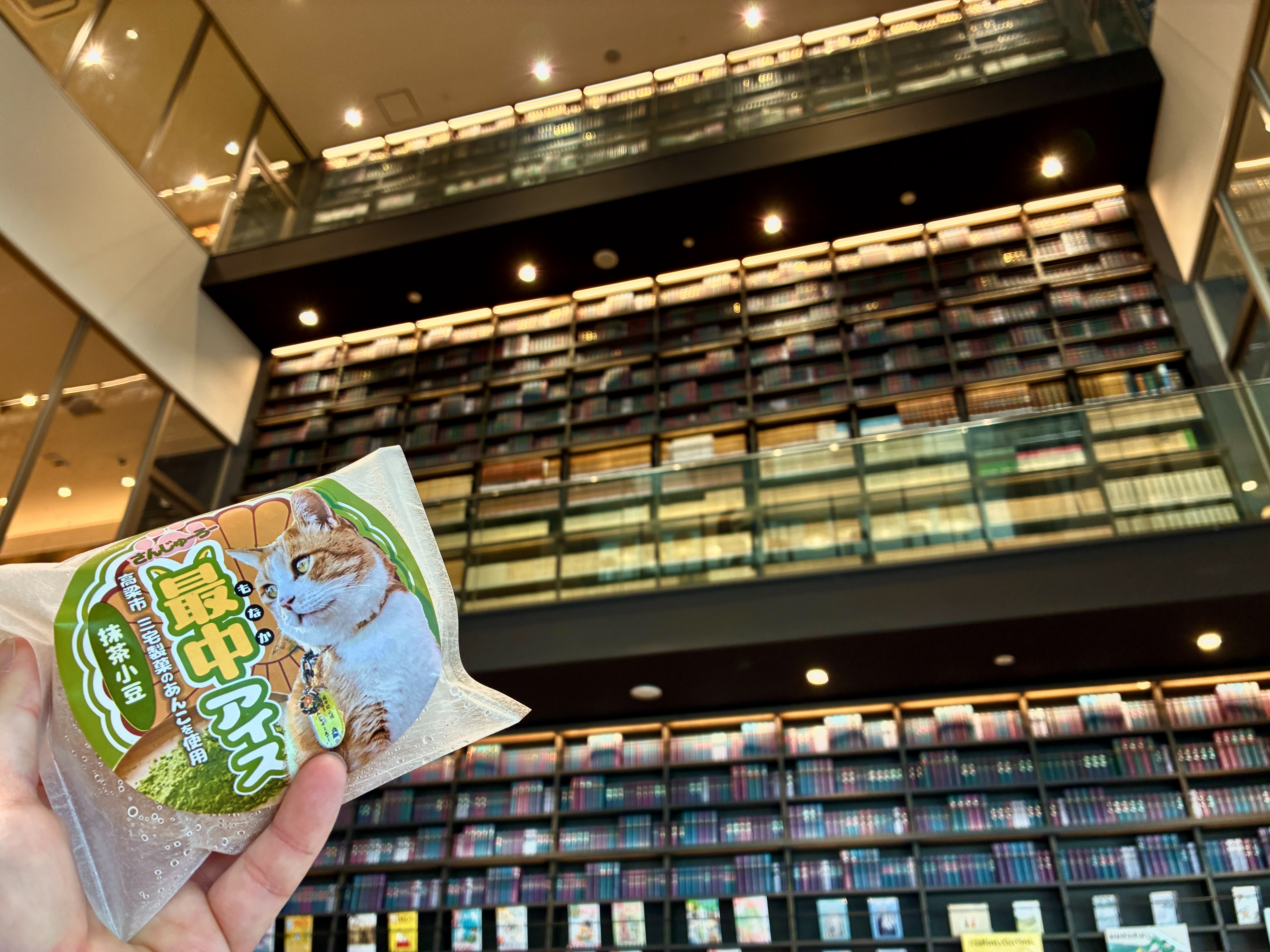 備中高梁駅 図書館とさんじゅーろー最中アイス 抹茶小豆