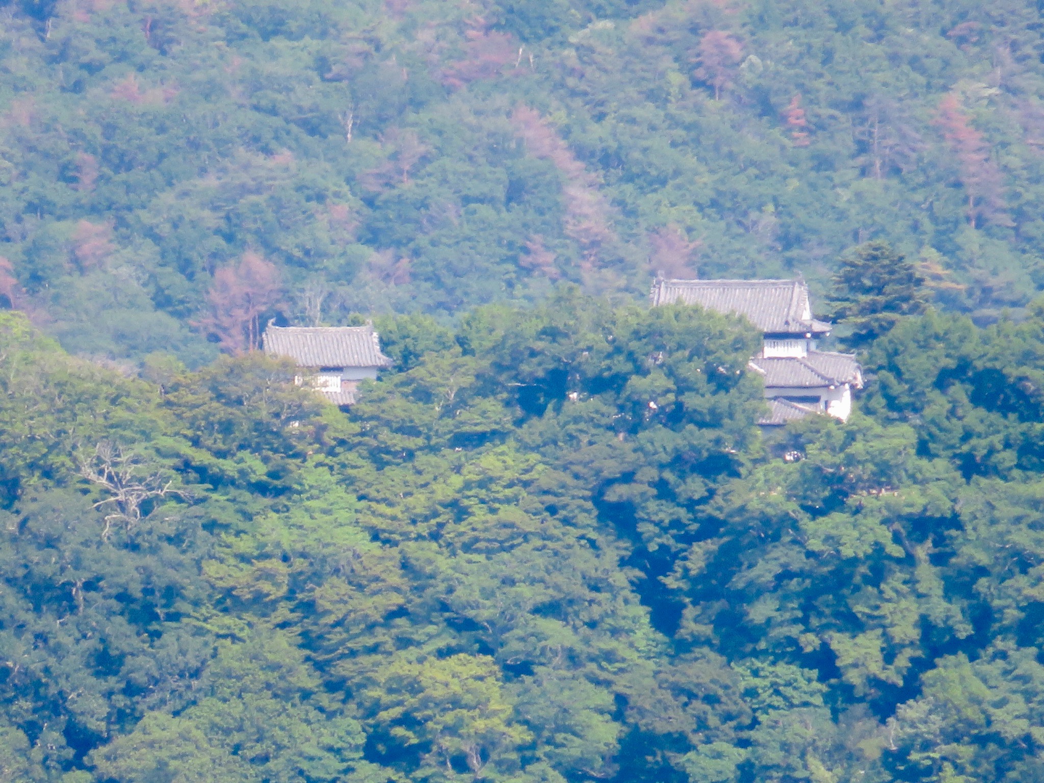 備中松山城を望む見晴らし台 天守