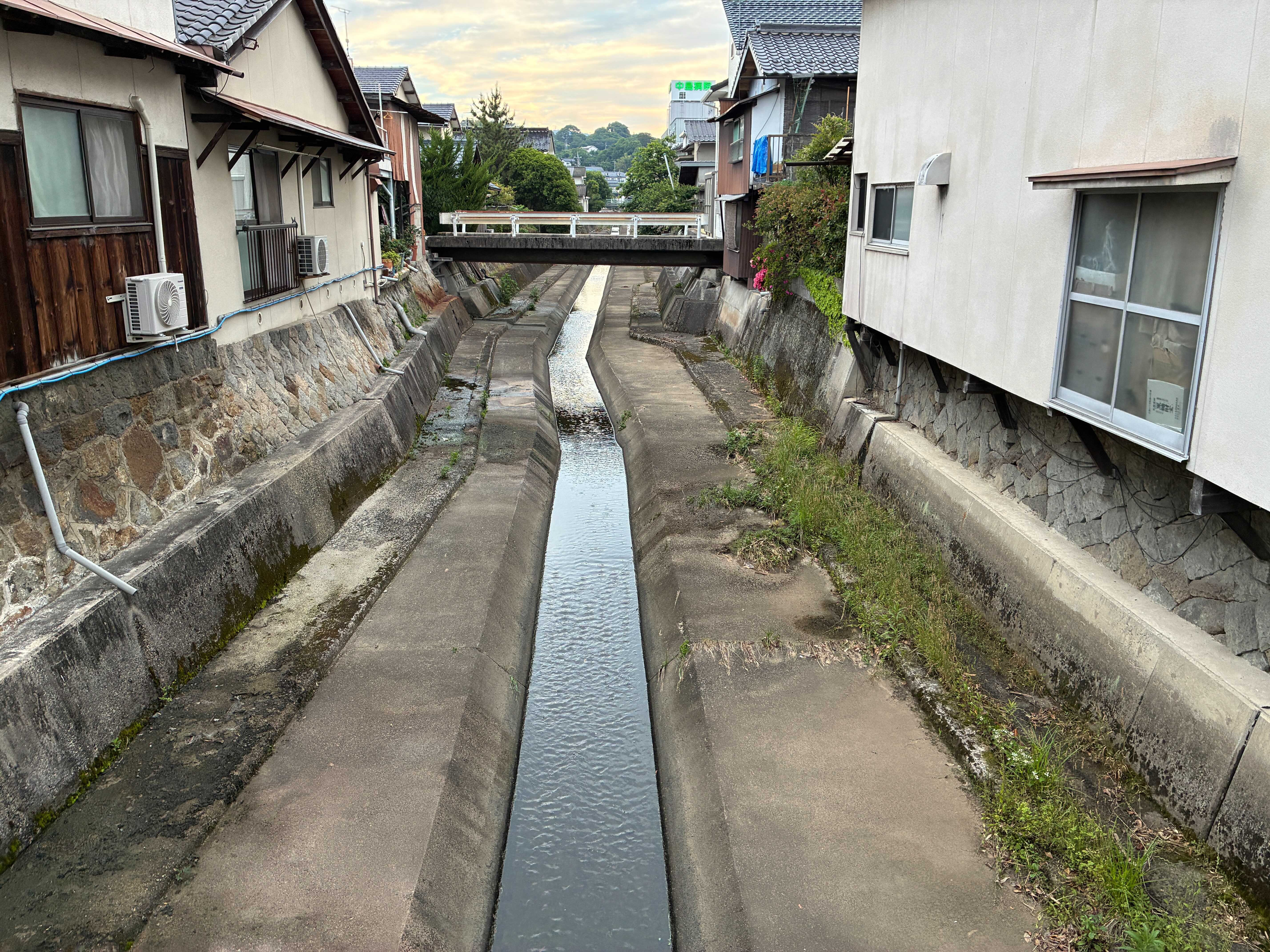 津山城西 藺田川