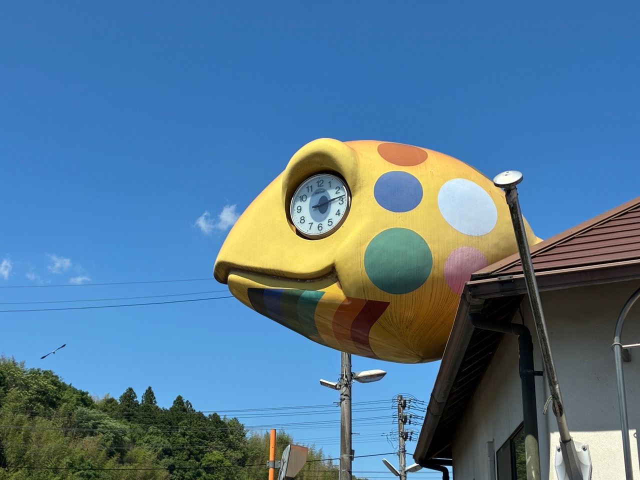 JR津山線 亀甲駅